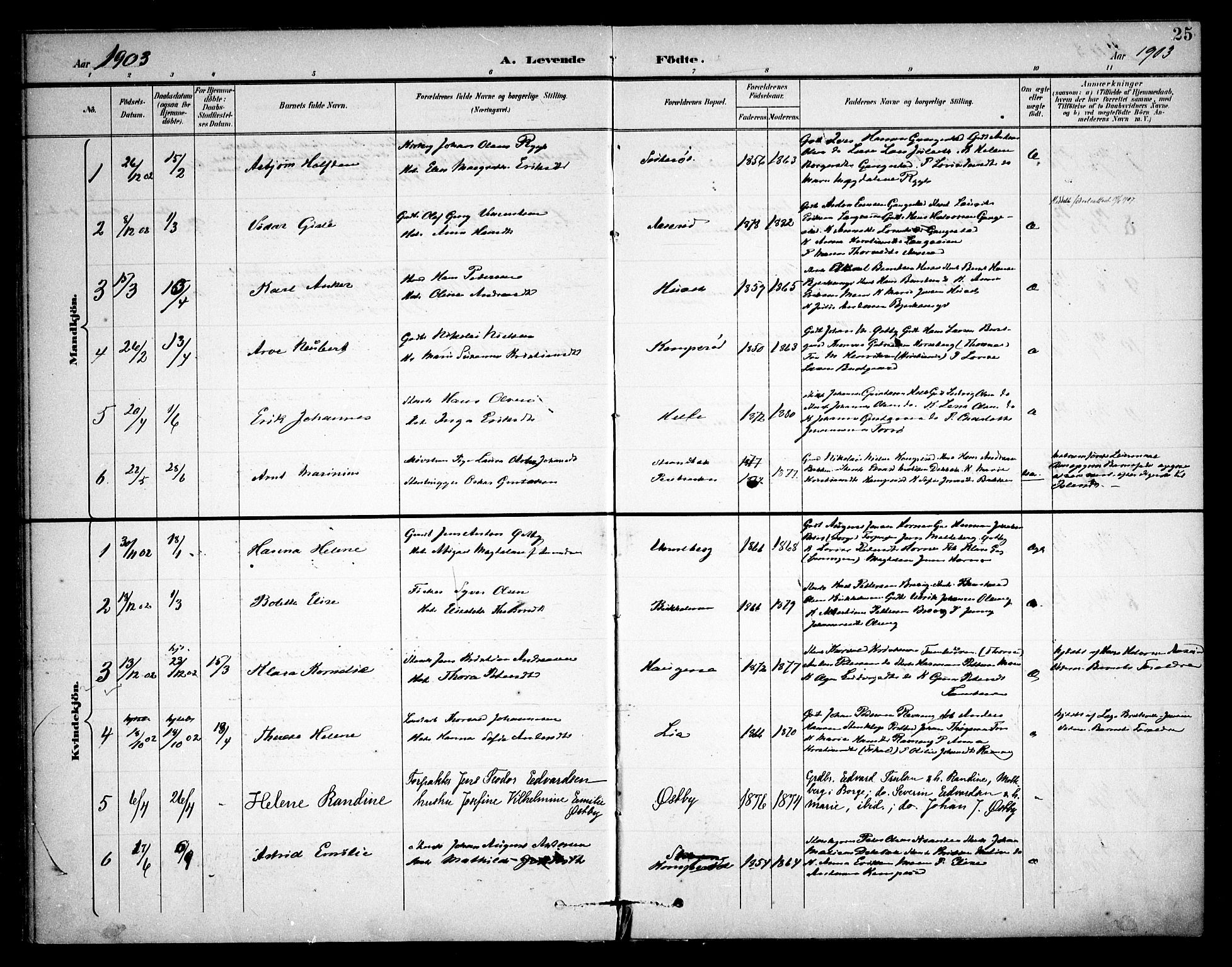 Skjeberg prestekontor Kirkebøker, AV/SAO-A-10923/F/Fb/L0002: Parish register (official) no. II 2, 1895-1910, p. 25