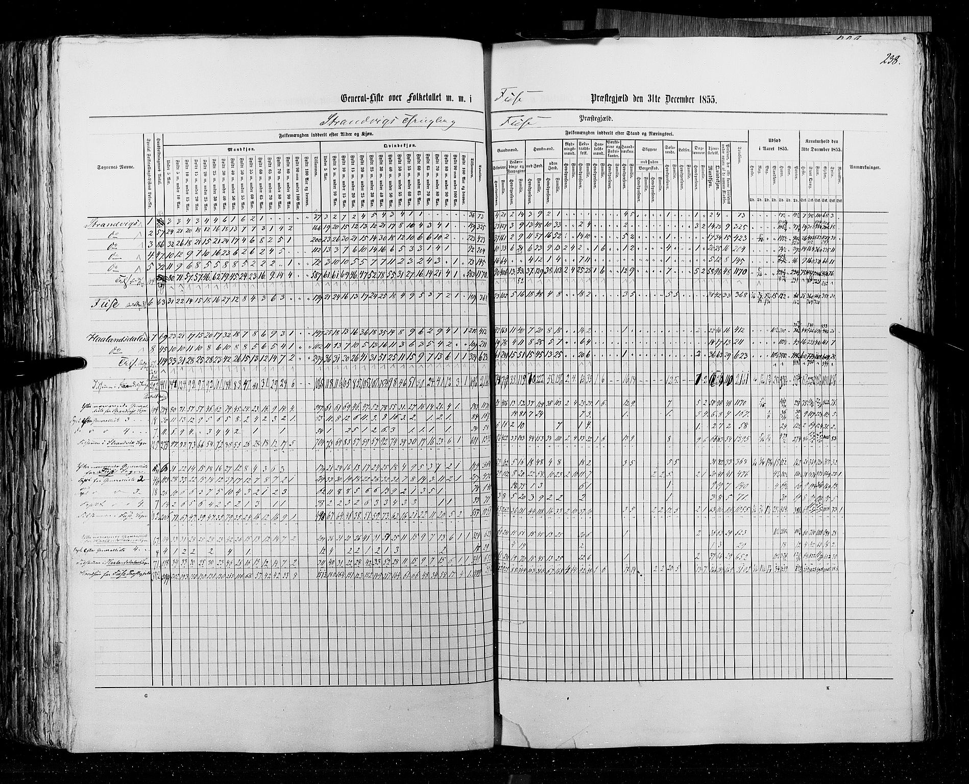 RA, Census 1855, vol. 4: Stavanger amt og Søndre Bergenhus amt, 1855, p. 238