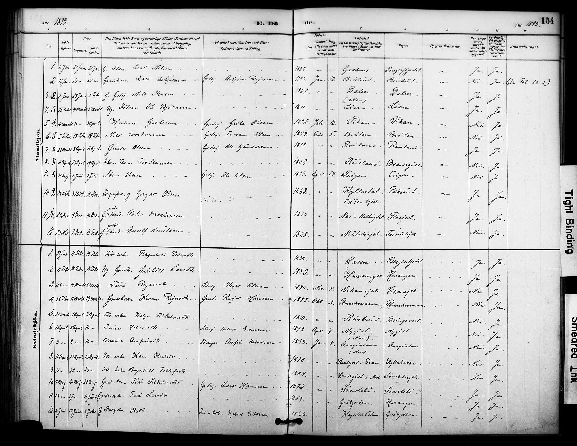 Nore kirkebøker, AV/SAKO-A-238/F/Fc/L0004: Parish register (official) no. III 4, 1885-1898, p. 154