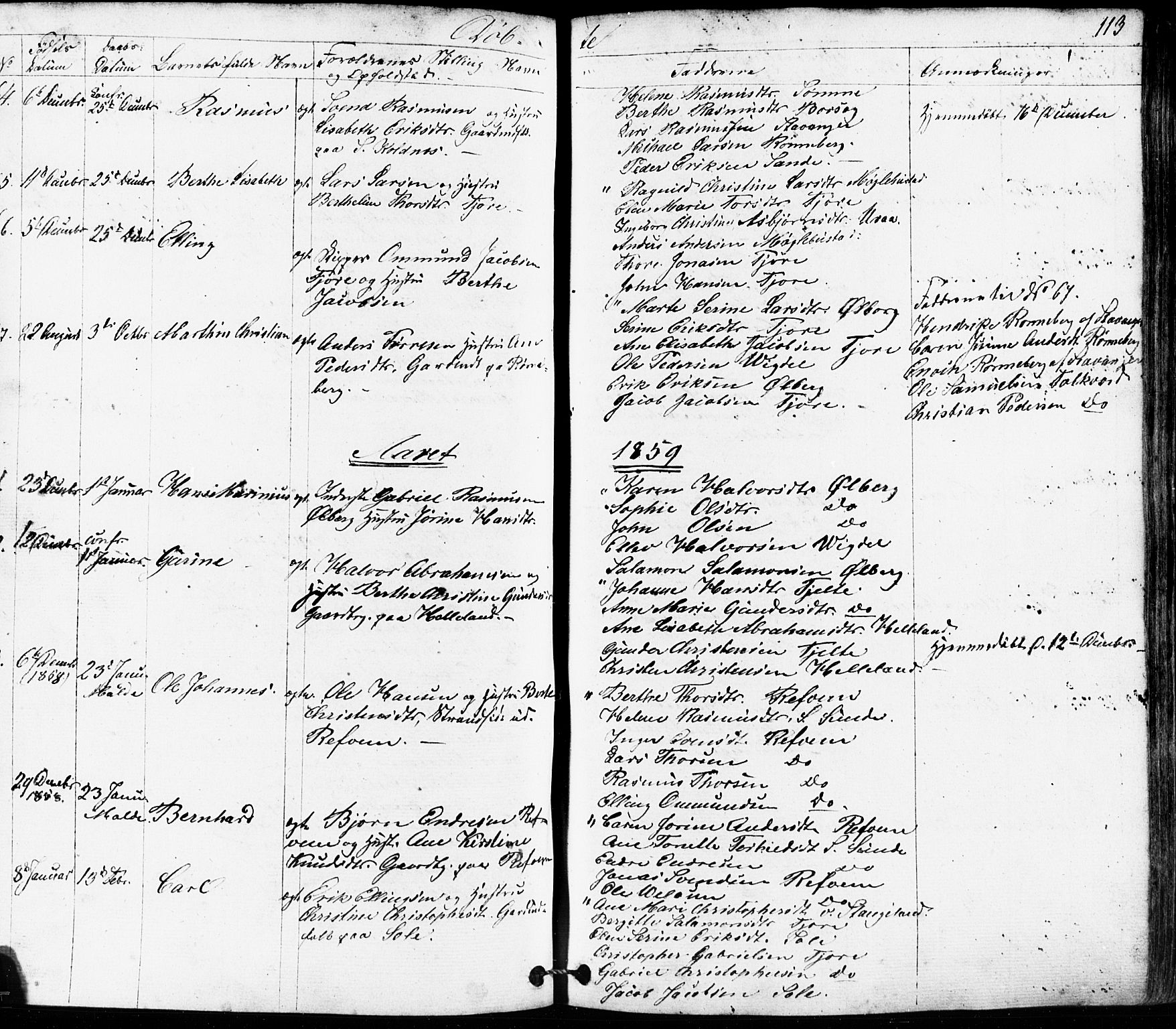 Håland sokneprestkontor, SAST/A-101802/001/30BB/L0002: Parish register (copy) no. B 2, 1845-1872, p. 113