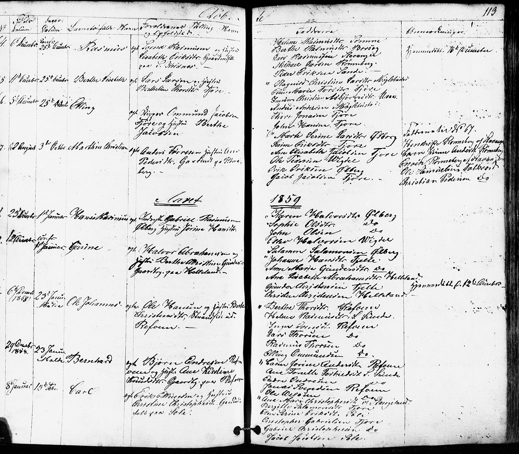 Håland sokneprestkontor, AV/SAST-A-101802/001/30BB/L0002: Parish register (copy) no. B 2, 1845-1872, p. 113