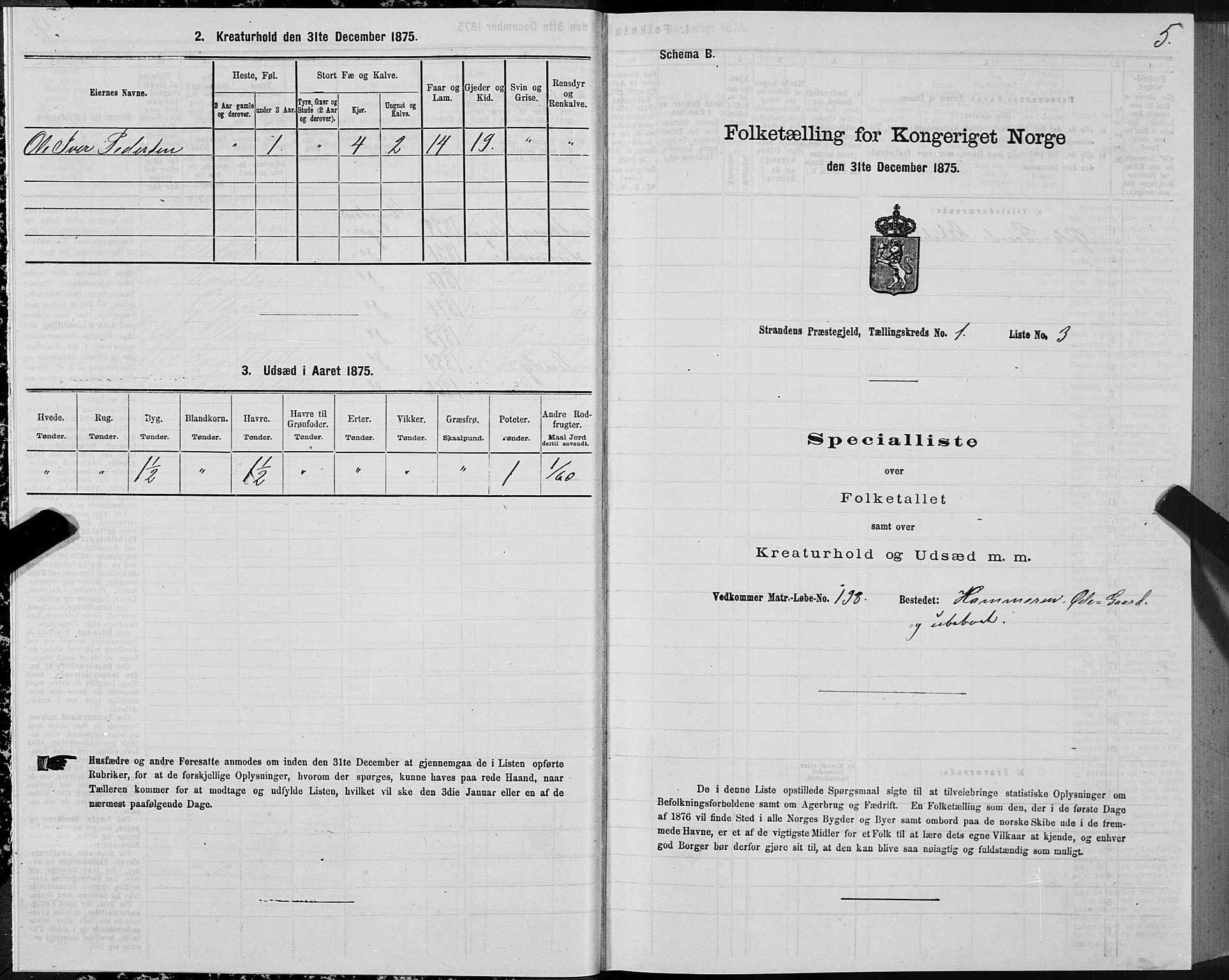SAT, 1875 census for 1525P Stranda, 1875, p. 1005