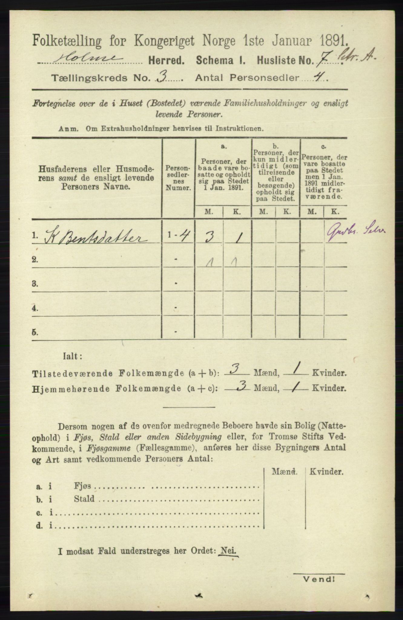 RA, 1891 census for 1020 Holum, 1891, p. 784