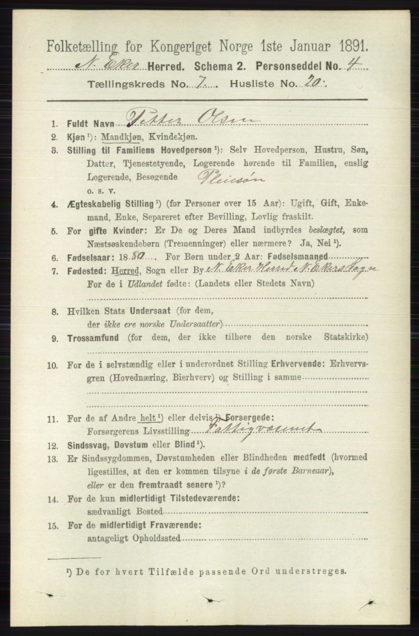 RA, 1891 census for 0625 Nedre Eiker, 1891, p. 3522