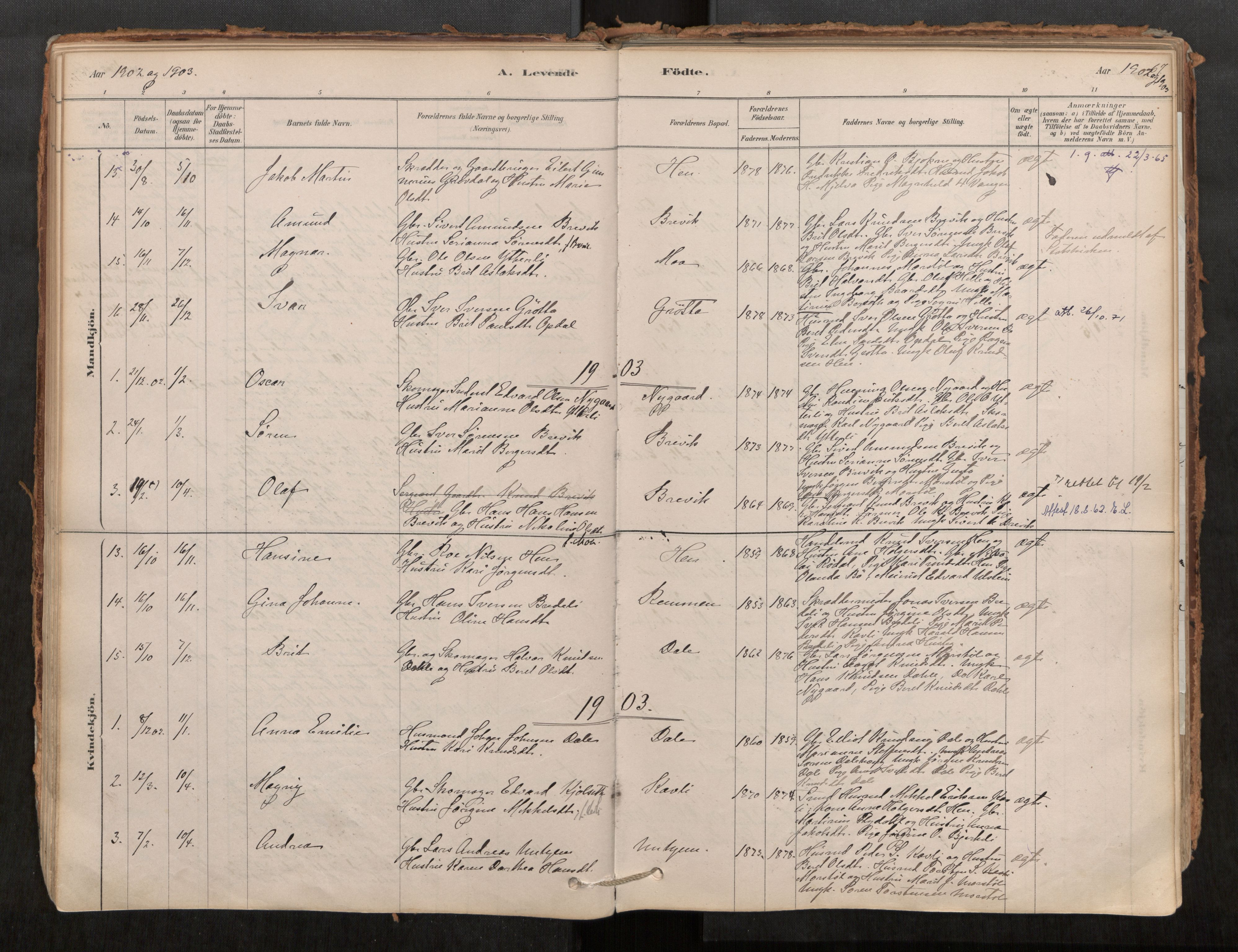 Ministerialprotokoller, klokkerbøker og fødselsregistre - Møre og Romsdal, SAT/A-1454/545/L0594: Parish register (official) no. 545A03, 1878-1920, p. 67