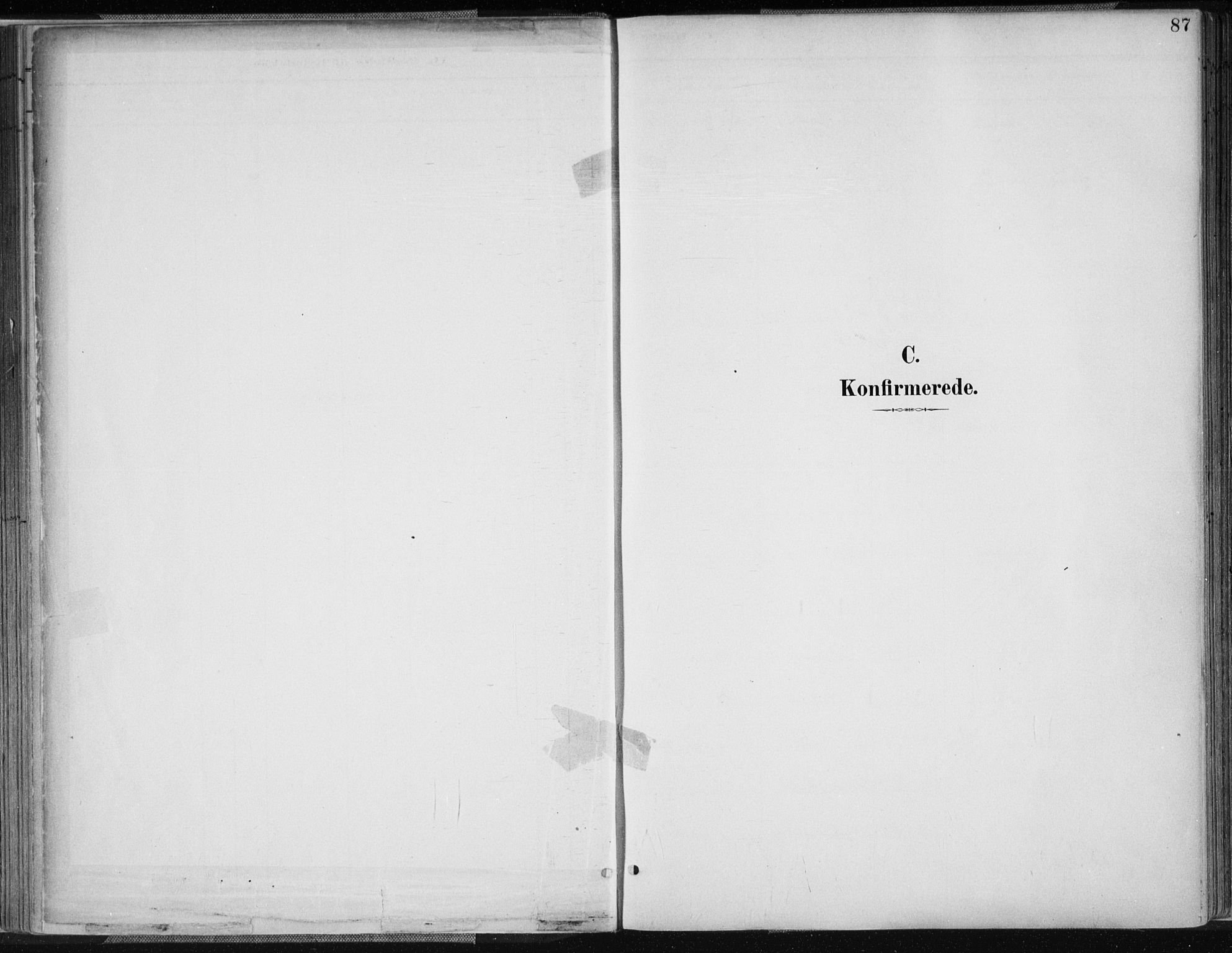 Kvinesdal sokneprestkontor, SAK/1111-0026/F/Fa/Fab/L0008: Parish register (official) no. A 8, 1886-1897, p. 87