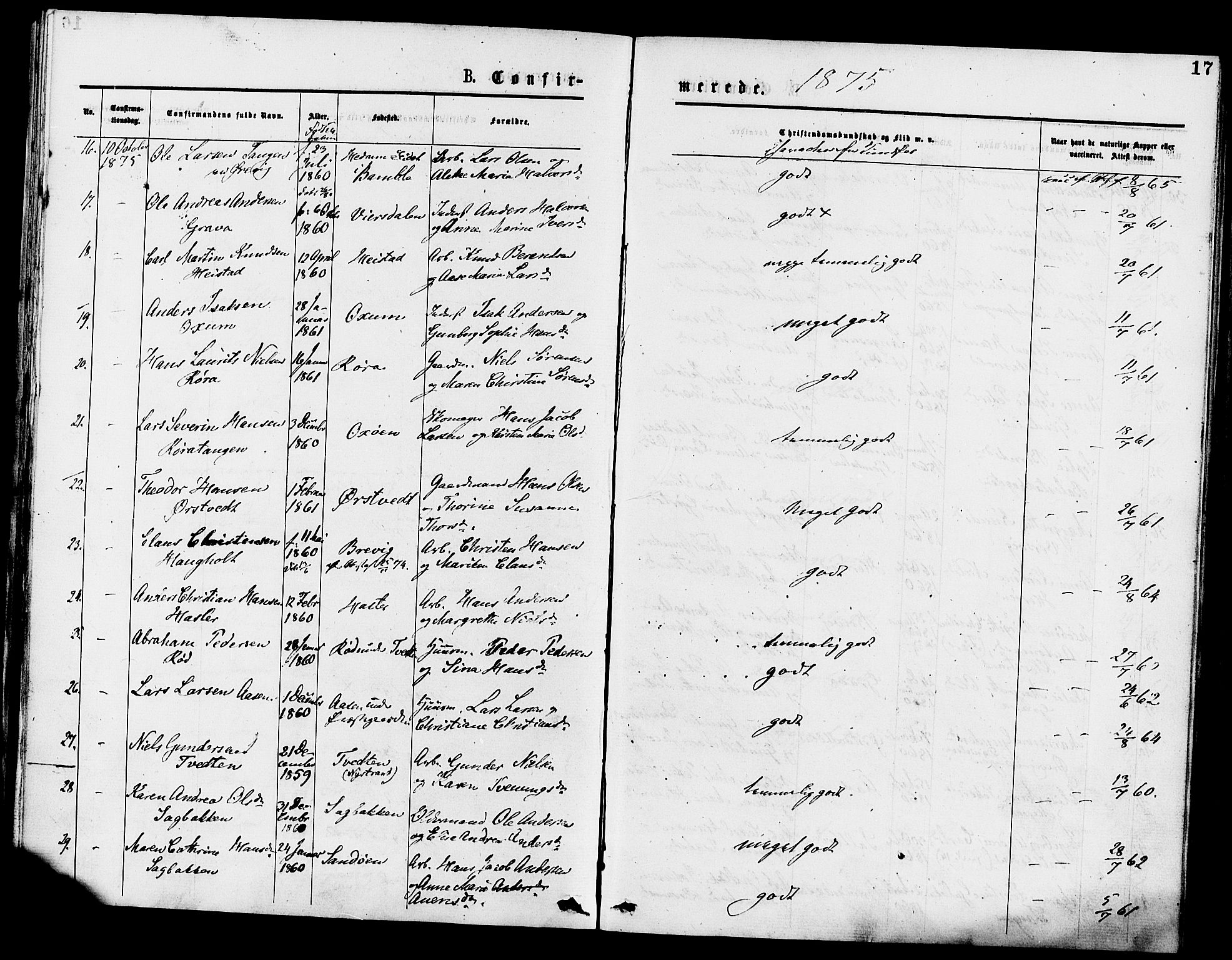 Eidanger kirkebøker, SAKO/A-261/F/Fa/L0011: Parish register (official) no. 11, 1875-1878, p. 17