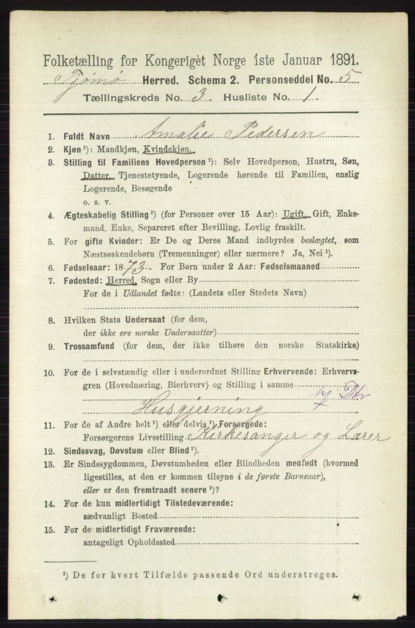 RA, 1891 census for 0723 Tjøme, 1891, p. 870