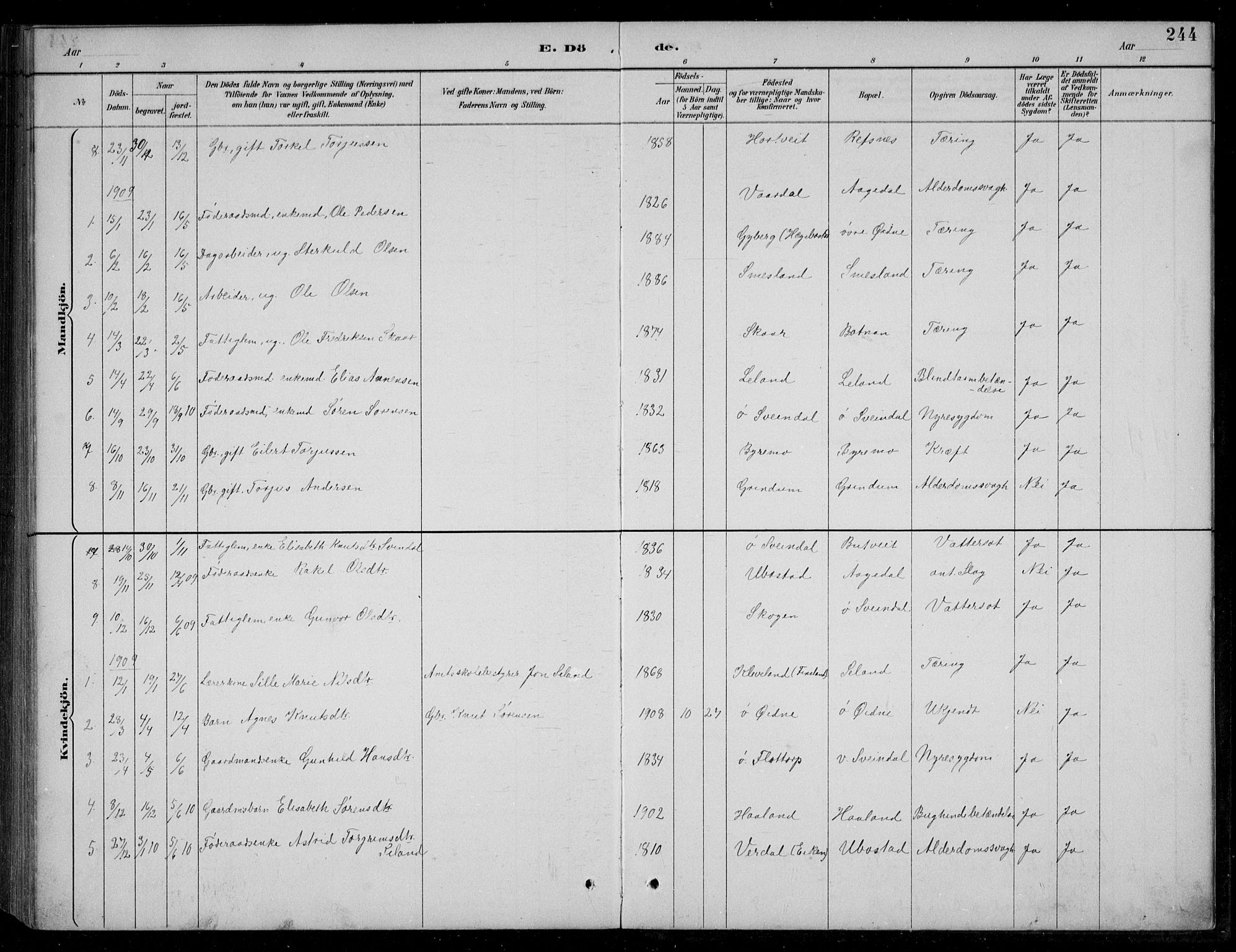 Bjelland sokneprestkontor, SAK/1111-0005/F/Fb/Fbc/L0003: Parish register (copy) no. B 3, 1887-1924, p. 244