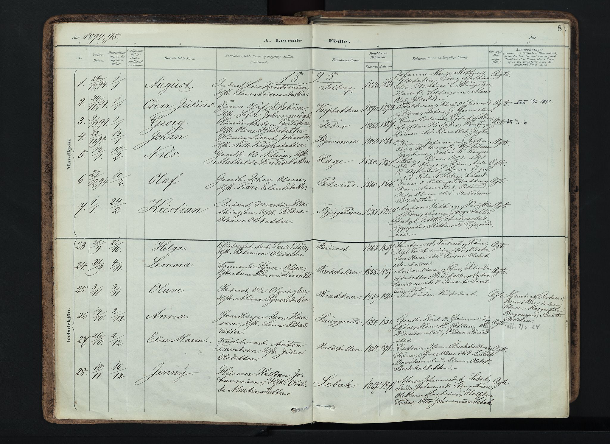 Vardal prestekontor, AV/SAH-PREST-100/H/Ha/Haa/L0019: Parish register (official) no. 19, 1893-1907, p. 8