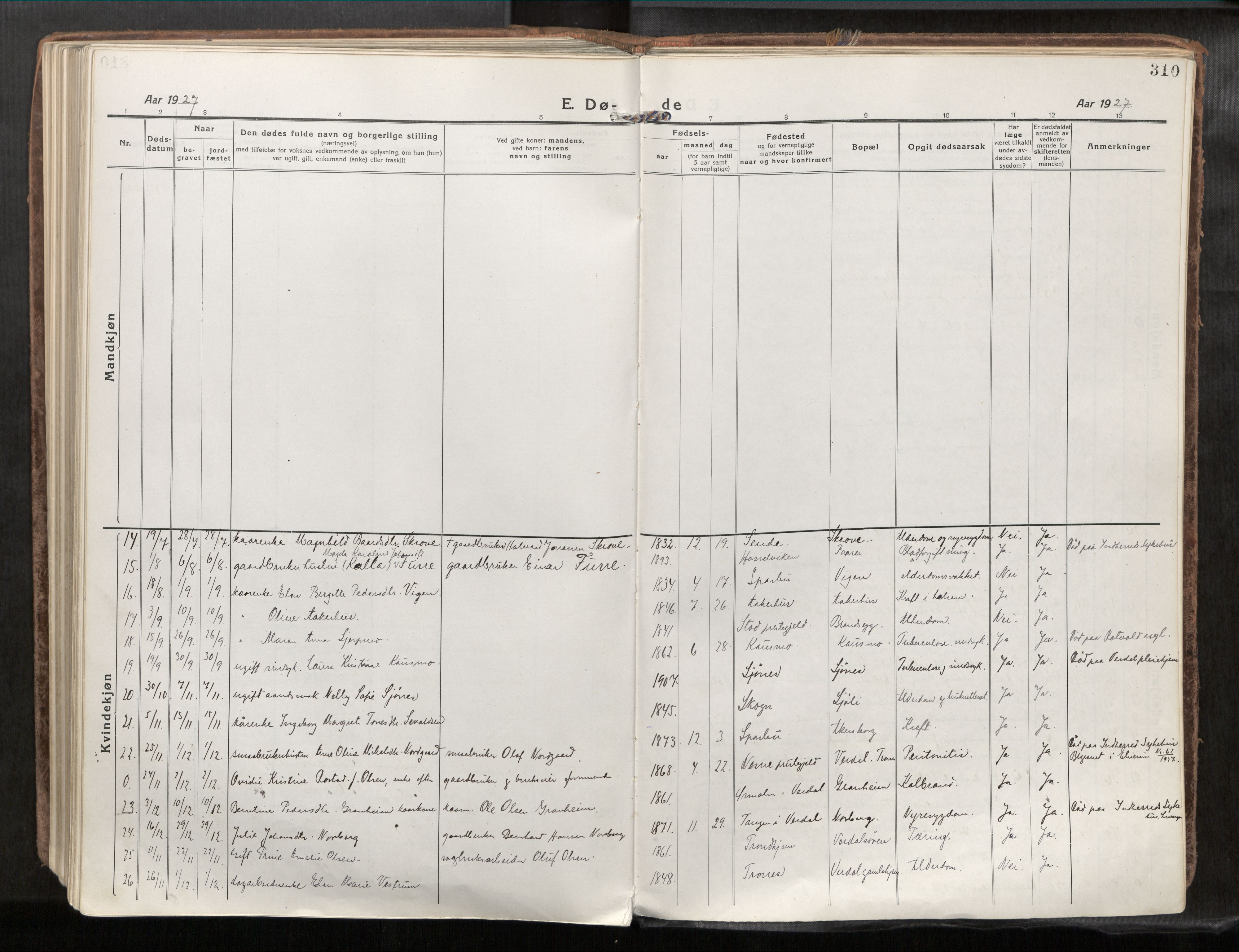 Verdal sokneprestkontor, AV/SAT-A-1156/2/H/Haa/L0001: Parish register (official) no. 1, 1917-1932, p. 310