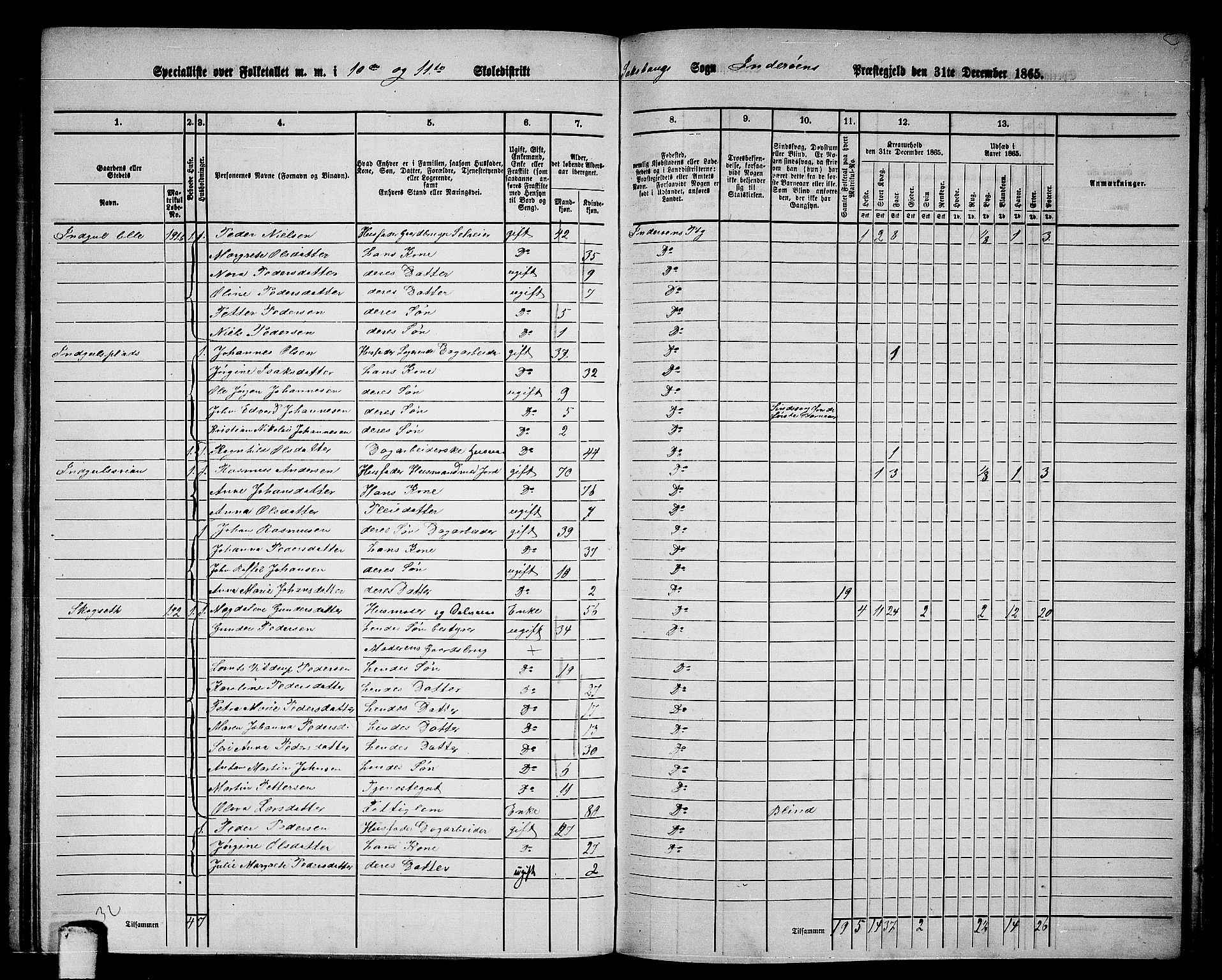 RA, 1865 census for Inderøy, 1865, p. 147