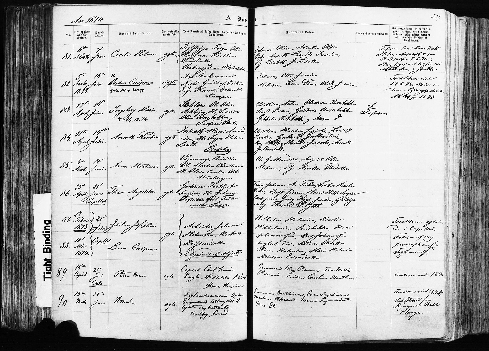 Østre Aker prestekontor Kirkebøker, SAO/A-10840/F/Fa/L0003: Parish register (official) no. I 3, 1869-1875, p. 209