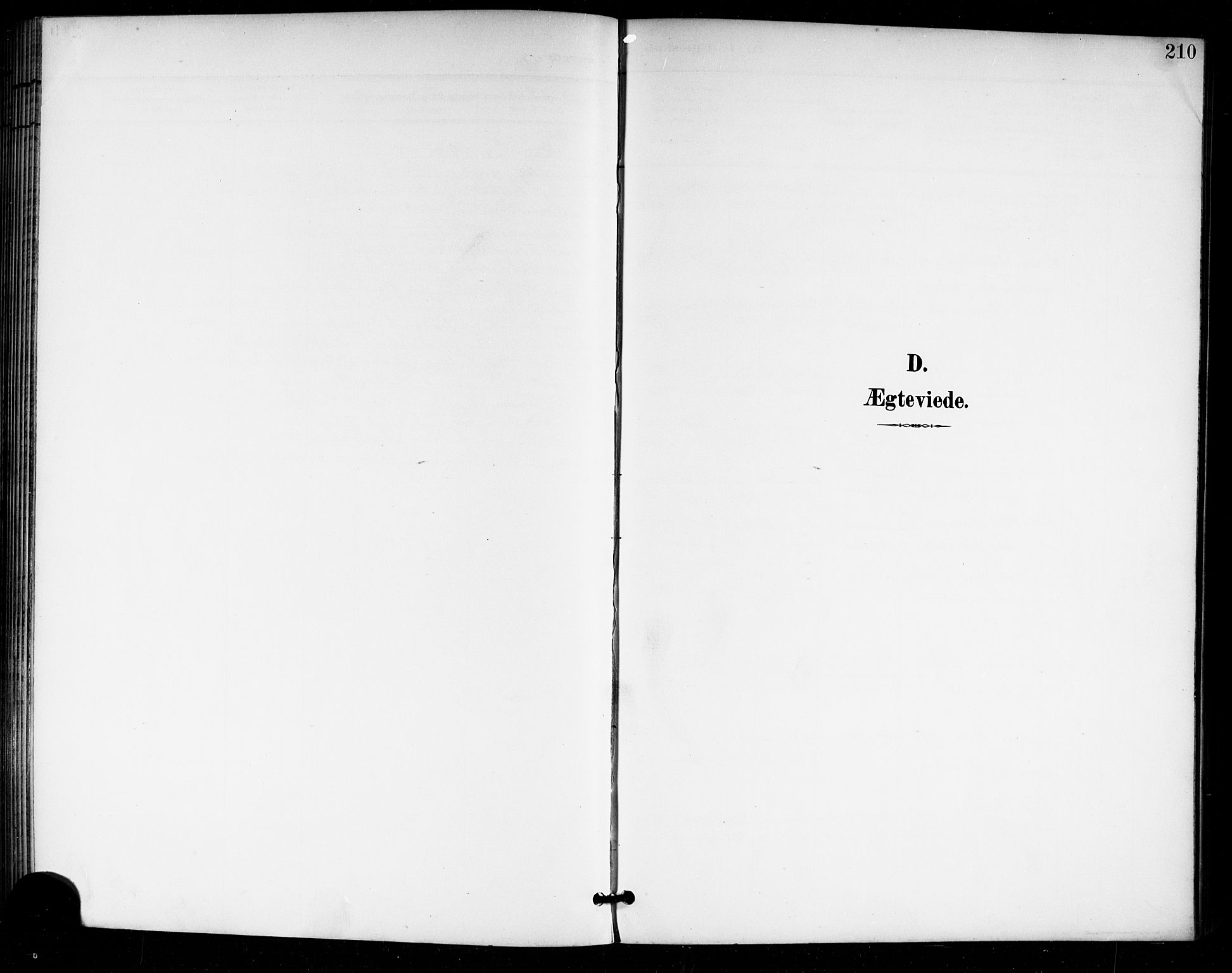 Tjølling kirkebøker, SAKO/A-60/G/Ga/L0002: Parish register (copy) no. 2, 1895-1918, p. 210