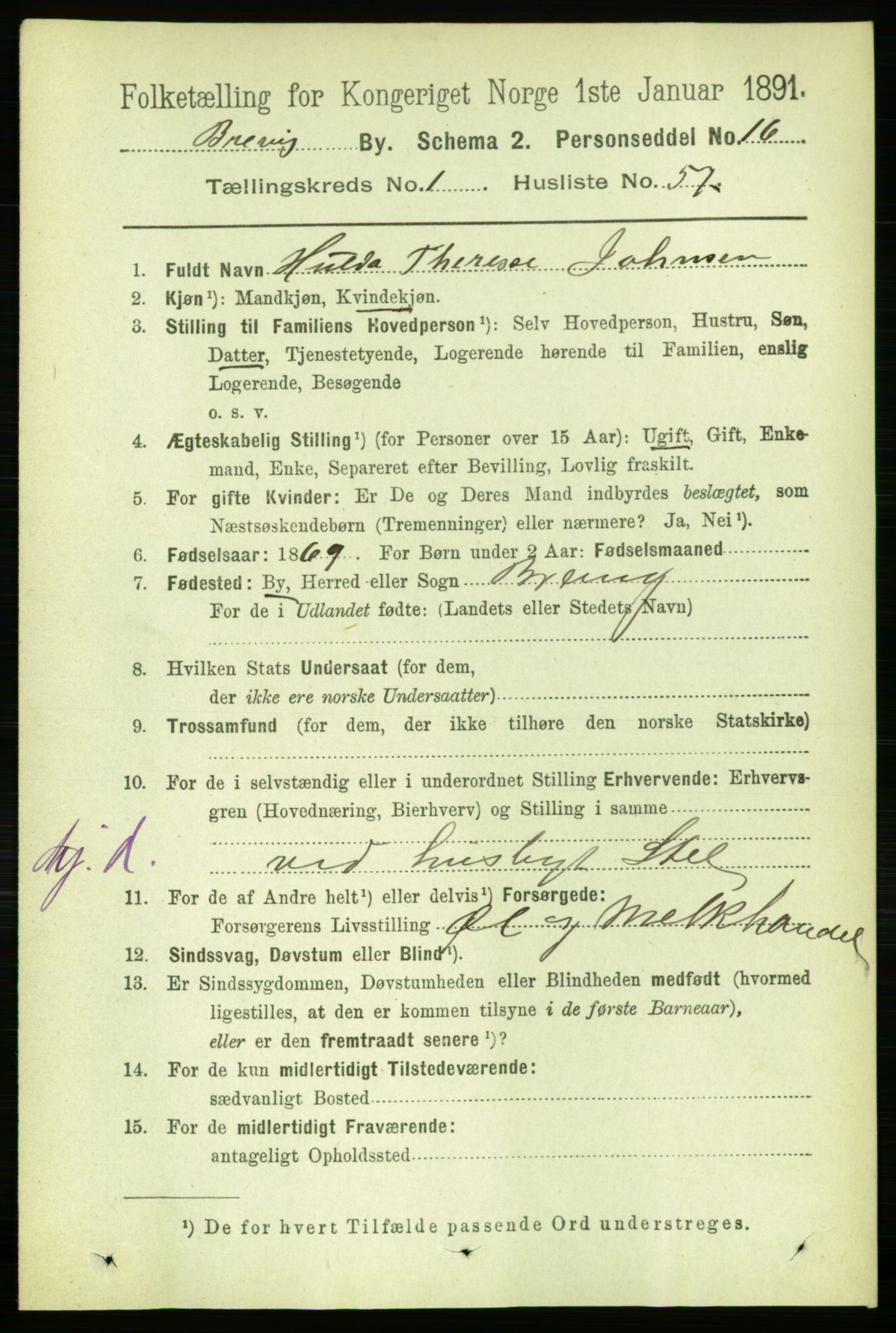 RA, 1891 census for 0804 Brevik, 1891, p. 1184