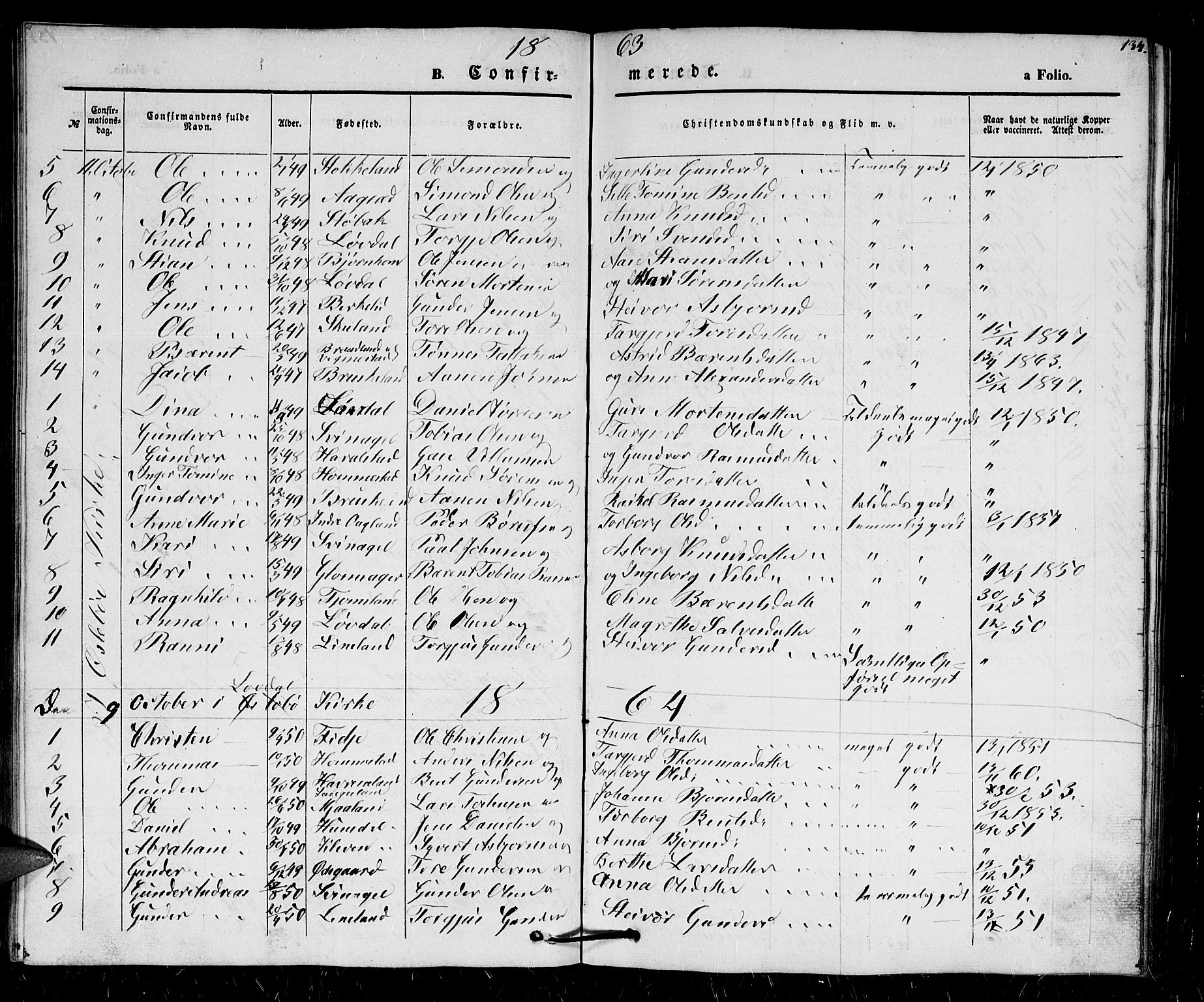 Holum sokneprestkontor, SAK/1111-0022/F/Fb/Fbb/L0002: Parish register (copy) no. B 2, 1847-1874, p. 134