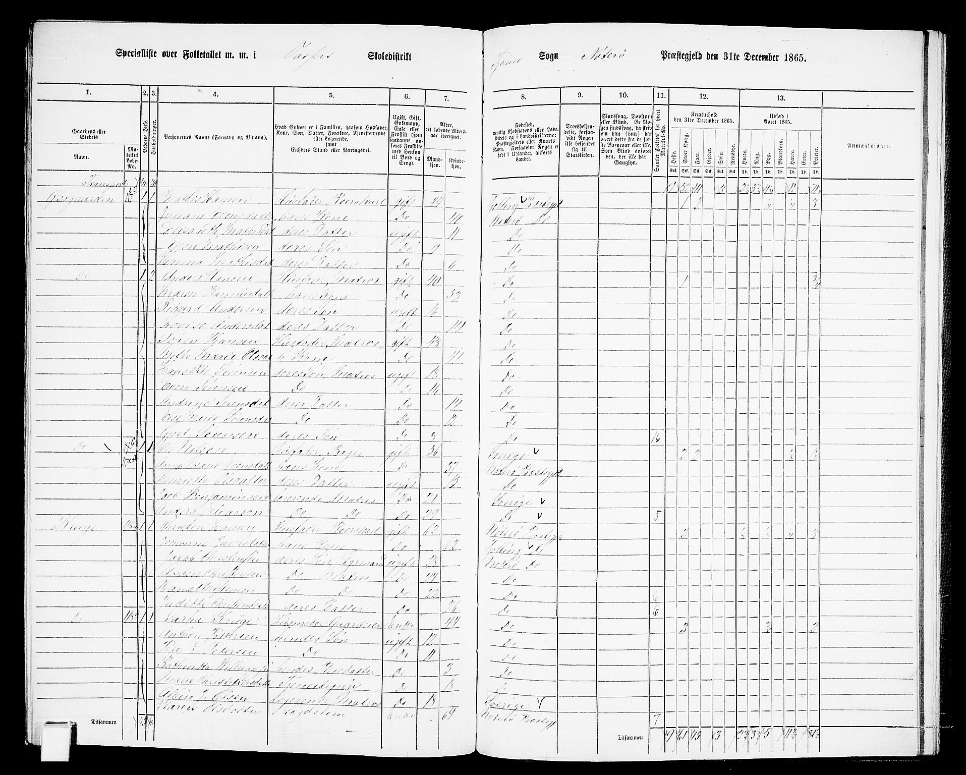 RA, 1865 census for Nøtterøy, 1865, p. 296