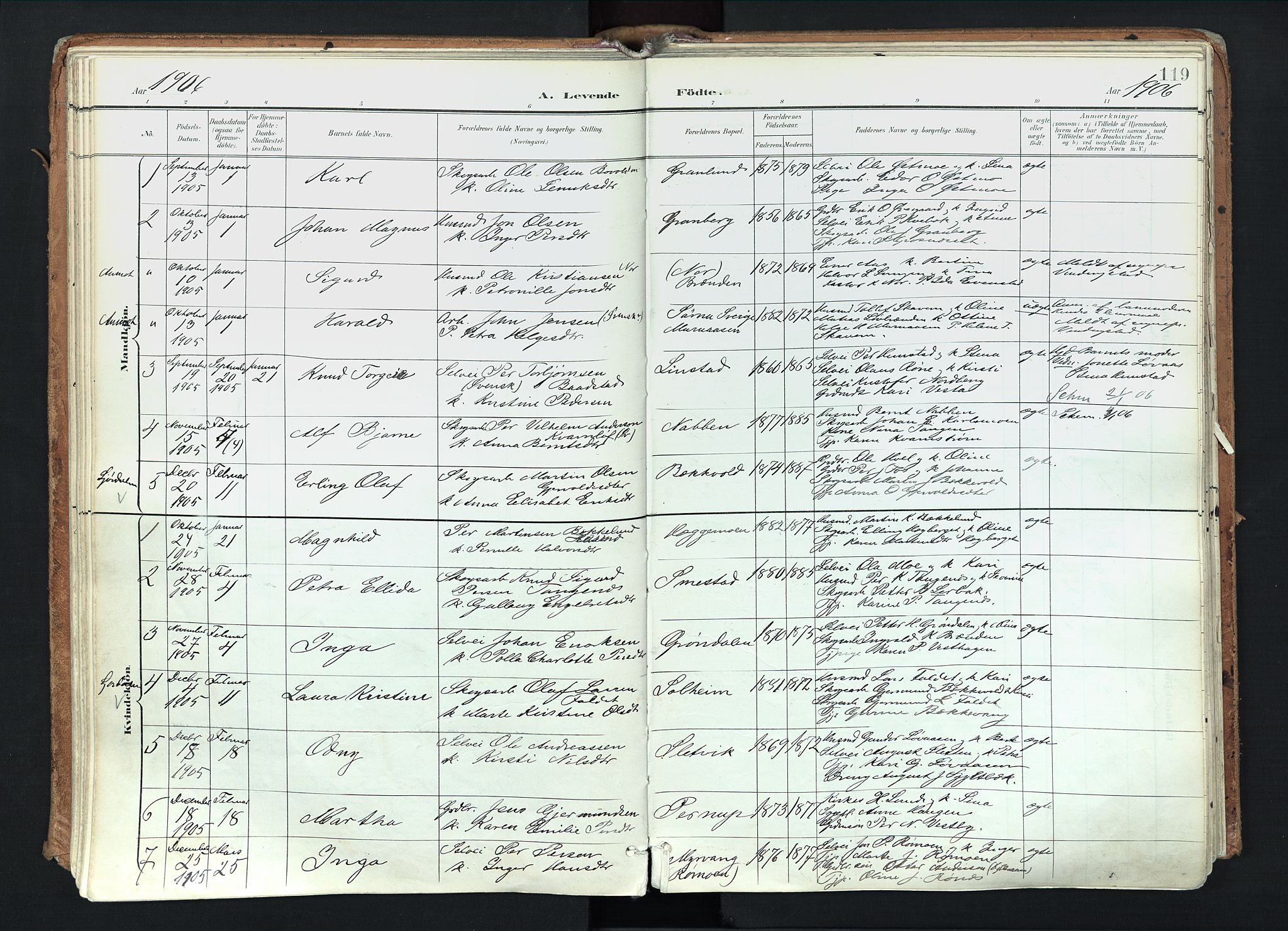 Trysil prestekontor, SAH/PREST-046/H/Ha/Haa/L0012: Parish register (official) no. 12, 1898-1917, p. 119