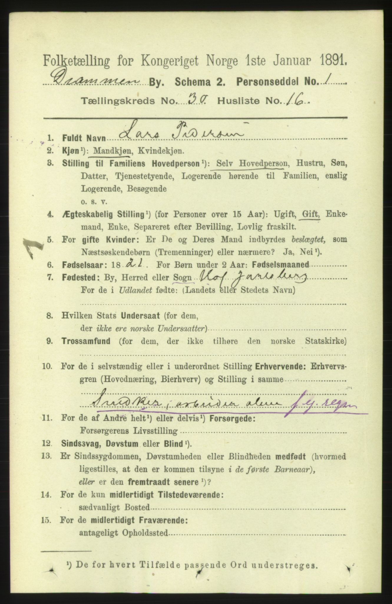 RA, 1891 census for 0602 Drammen, 1891, p. 18316