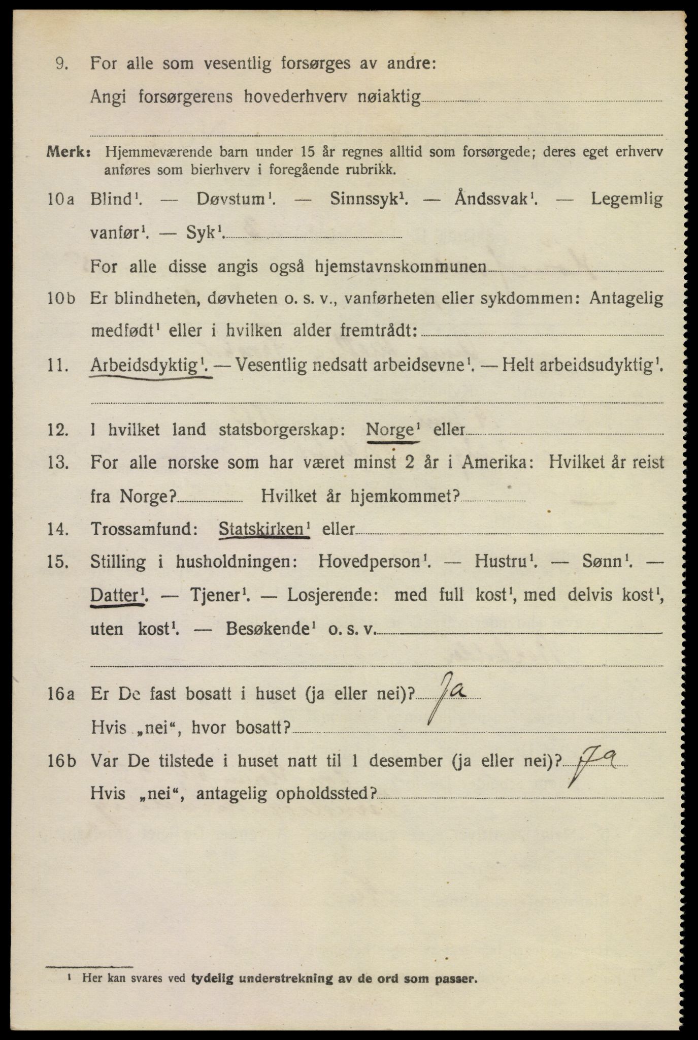 SAKO, 1920 census for Hønefoss, 1920, p. 6629