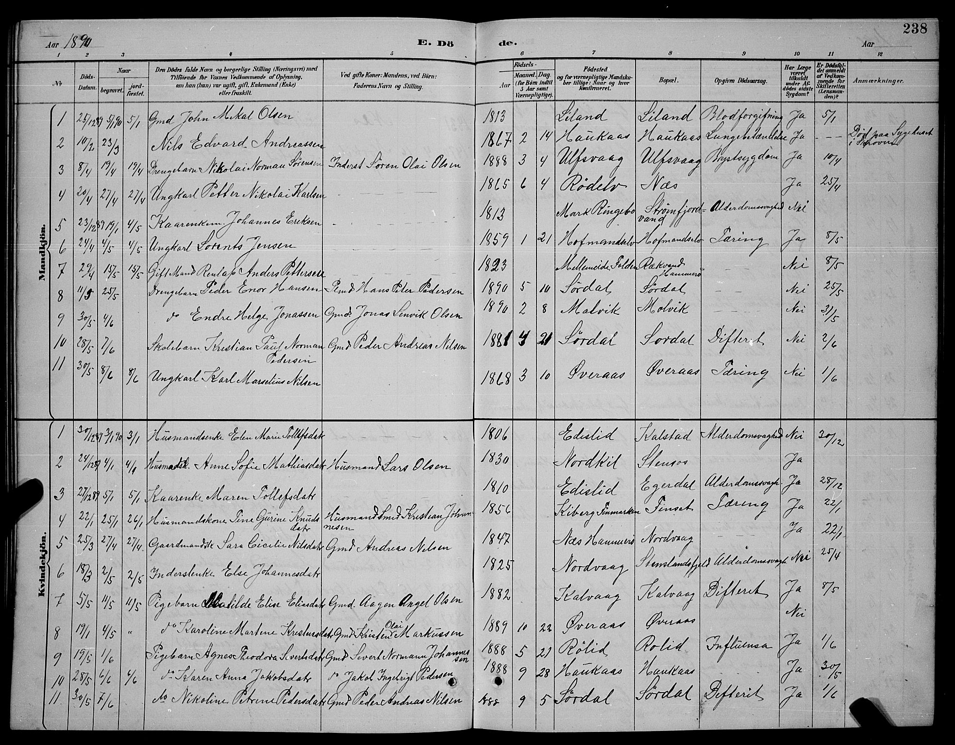 Ministerialprotokoller, klokkerbøker og fødselsregistre - Nordland, SAT/A-1459/859/L0859: Parish register (copy) no. 859C05, 1887-1898, p. 238