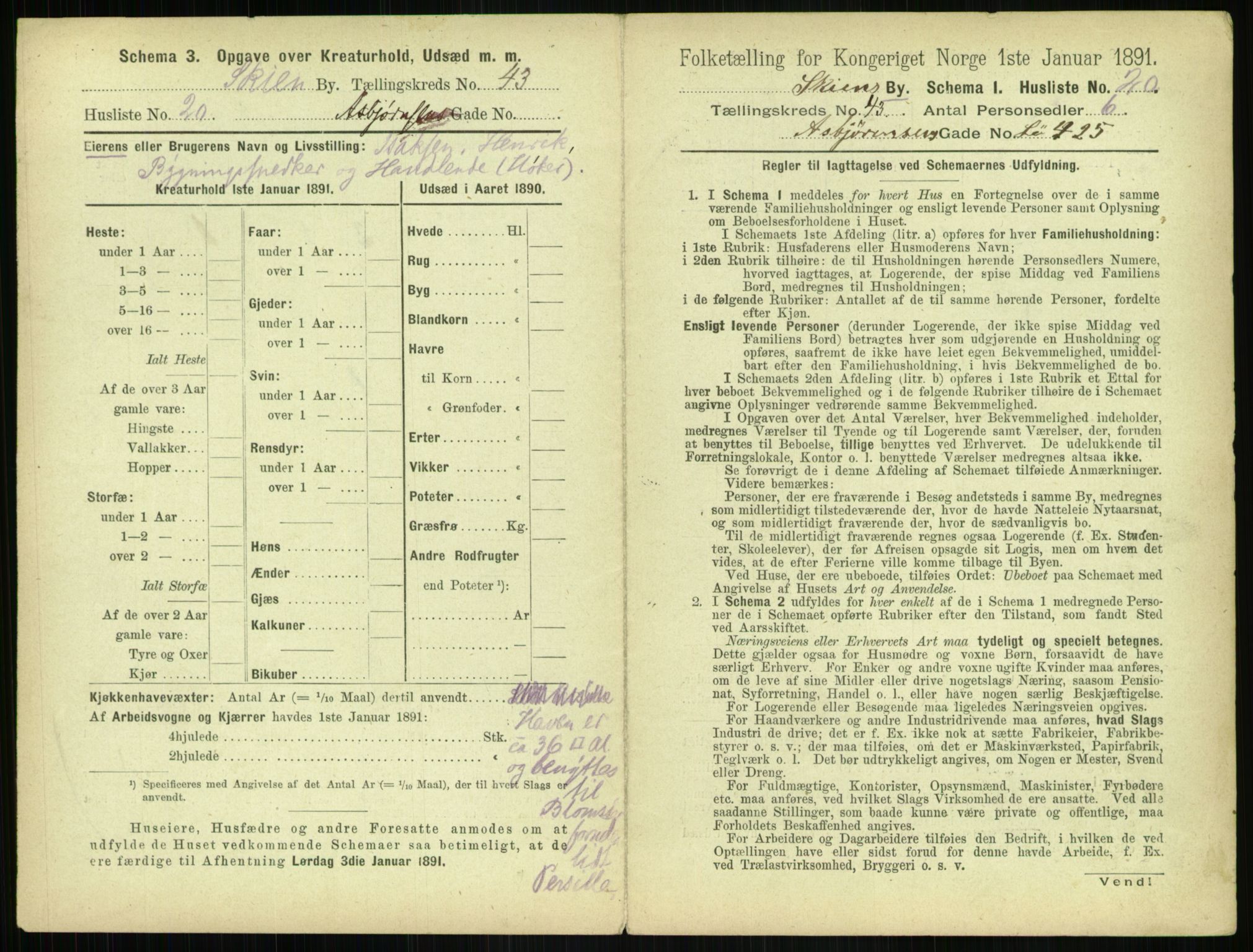 RA, 1891 census for 0806 Skien, 1891, p. 1522