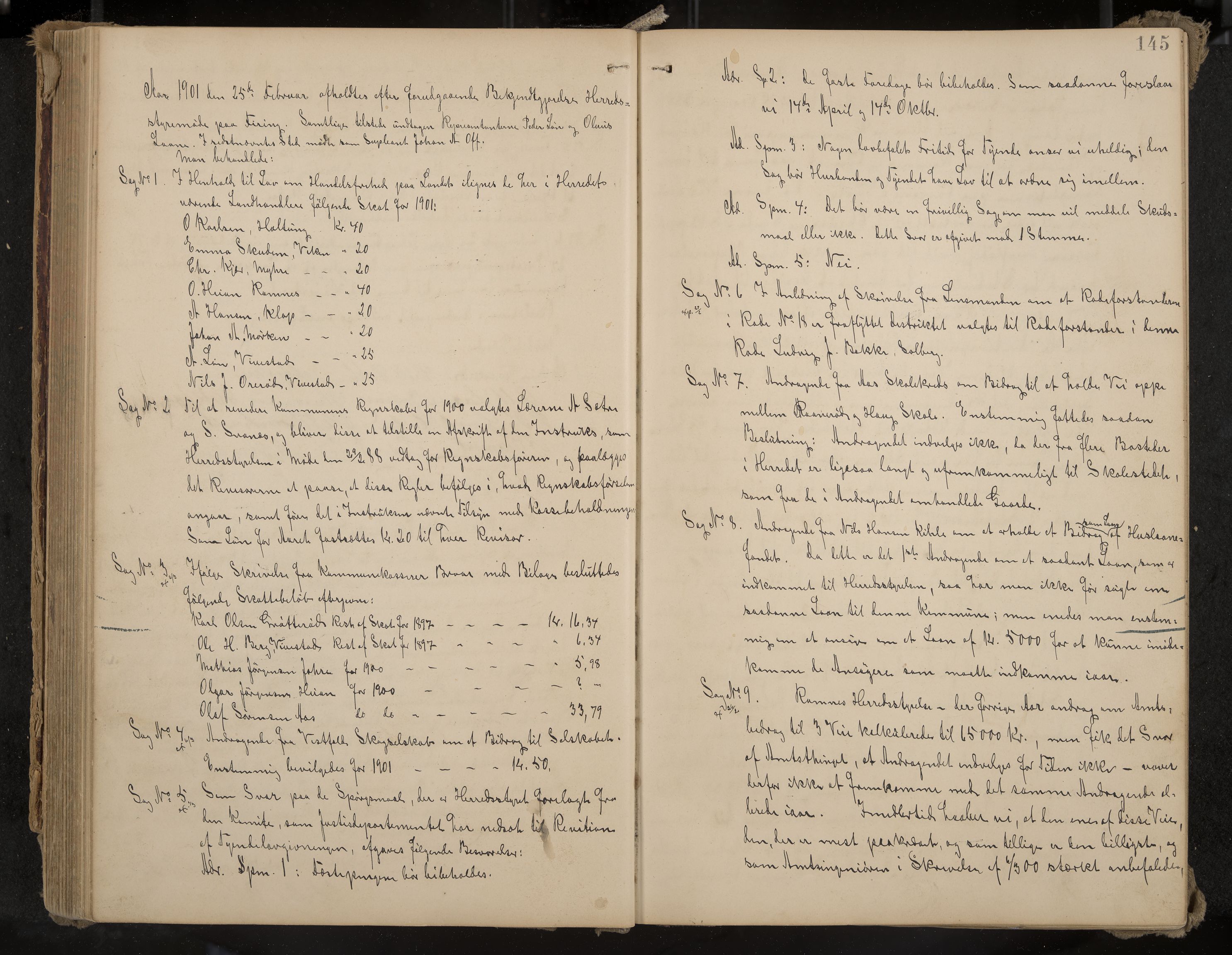 Ramnes formannskap og sentraladministrasjon, IKAK/0718021/A/Aa/L0004: Møtebok, 1892-1907, p. 145