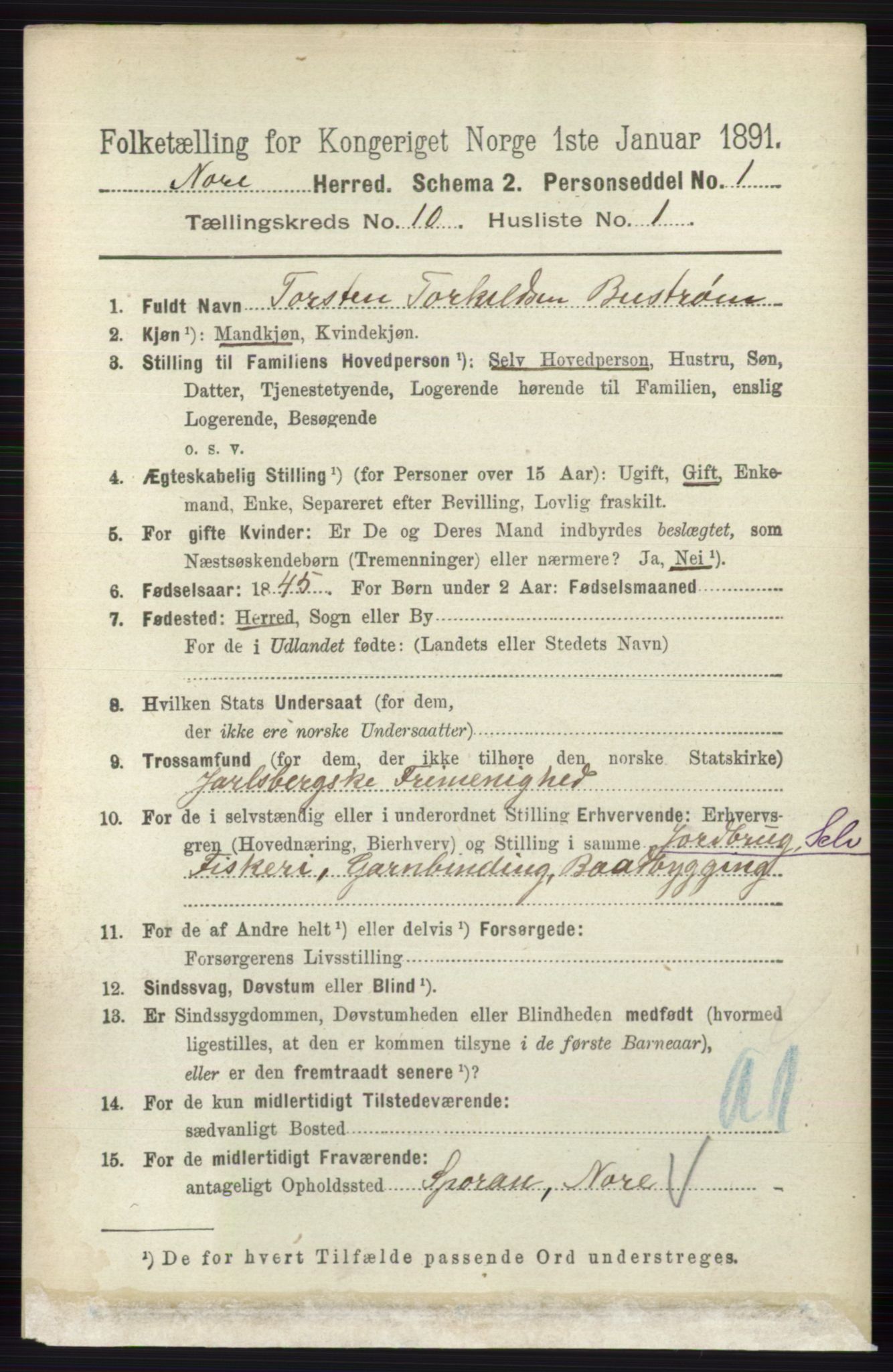 RA, 1891 census for 0633 Nore, 1891, p. 3545