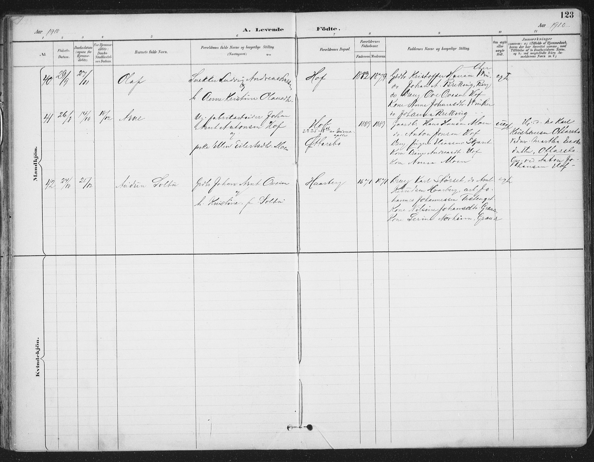 Ministerialprotokoller, klokkerbøker og fødselsregistre - Sør-Trøndelag, SAT/A-1456/659/L0743: Parish register (official) no. 659A13, 1893-1910, p. 123