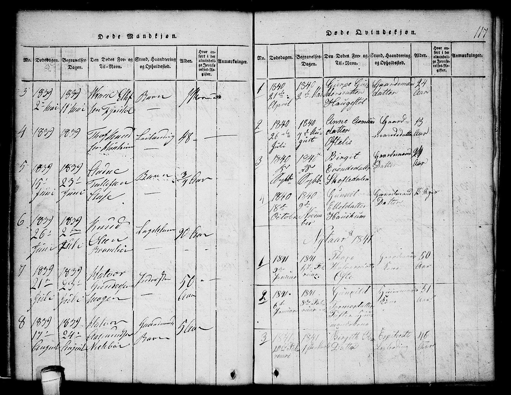 Lårdal kirkebøker, SAKO/A-284/G/Gc/L0001: Parish register (copy) no. III 1, 1815-1854, p. 117