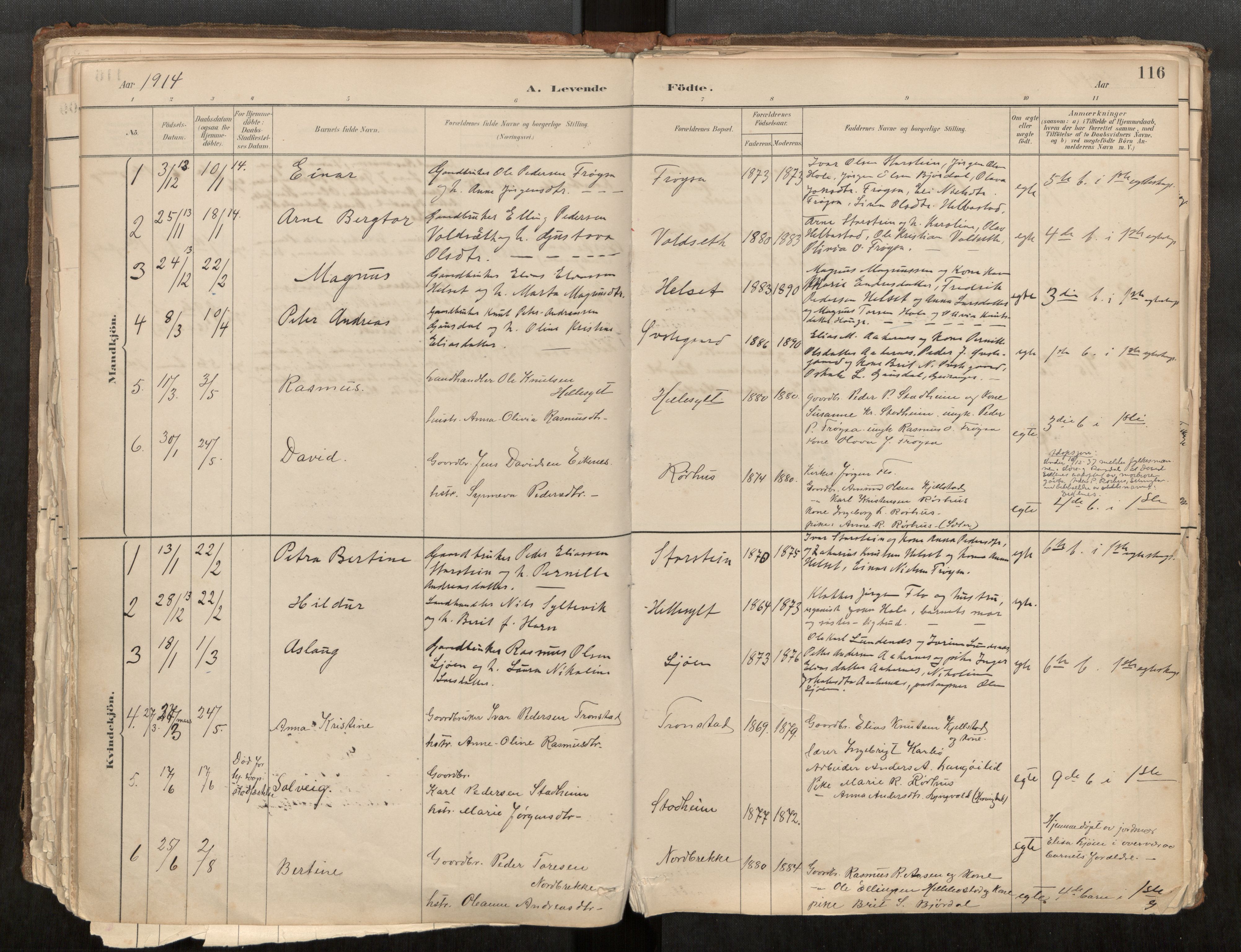 Sunnylven sokneprestkontor, SAT/A-1007: Parish register (official) no. 517A08, 1882-1939, p. 116