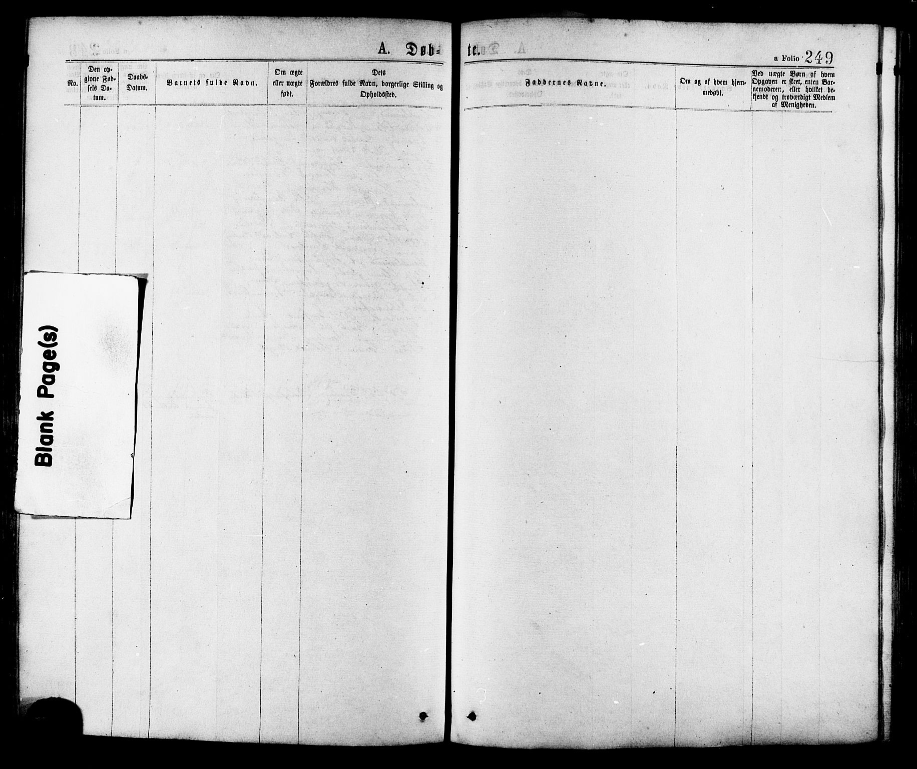 Ministerialprotokoller, klokkerbøker og fødselsregistre - Sør-Trøndelag, AV/SAT-A-1456/634/L0532: Parish register (official) no. 634A08, 1871-1881, p. 249