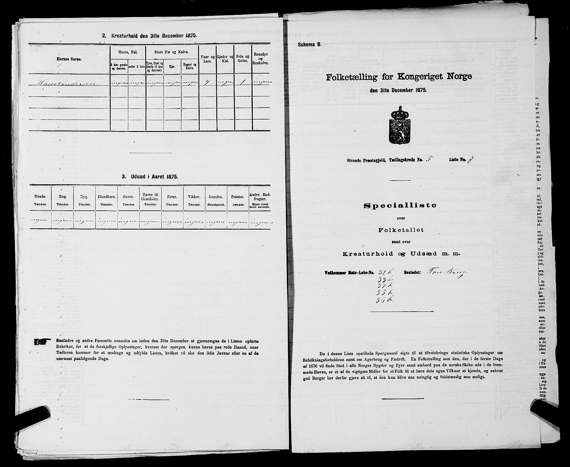 SAST, 1875 census for 1130P Strand, 1875, p. 463