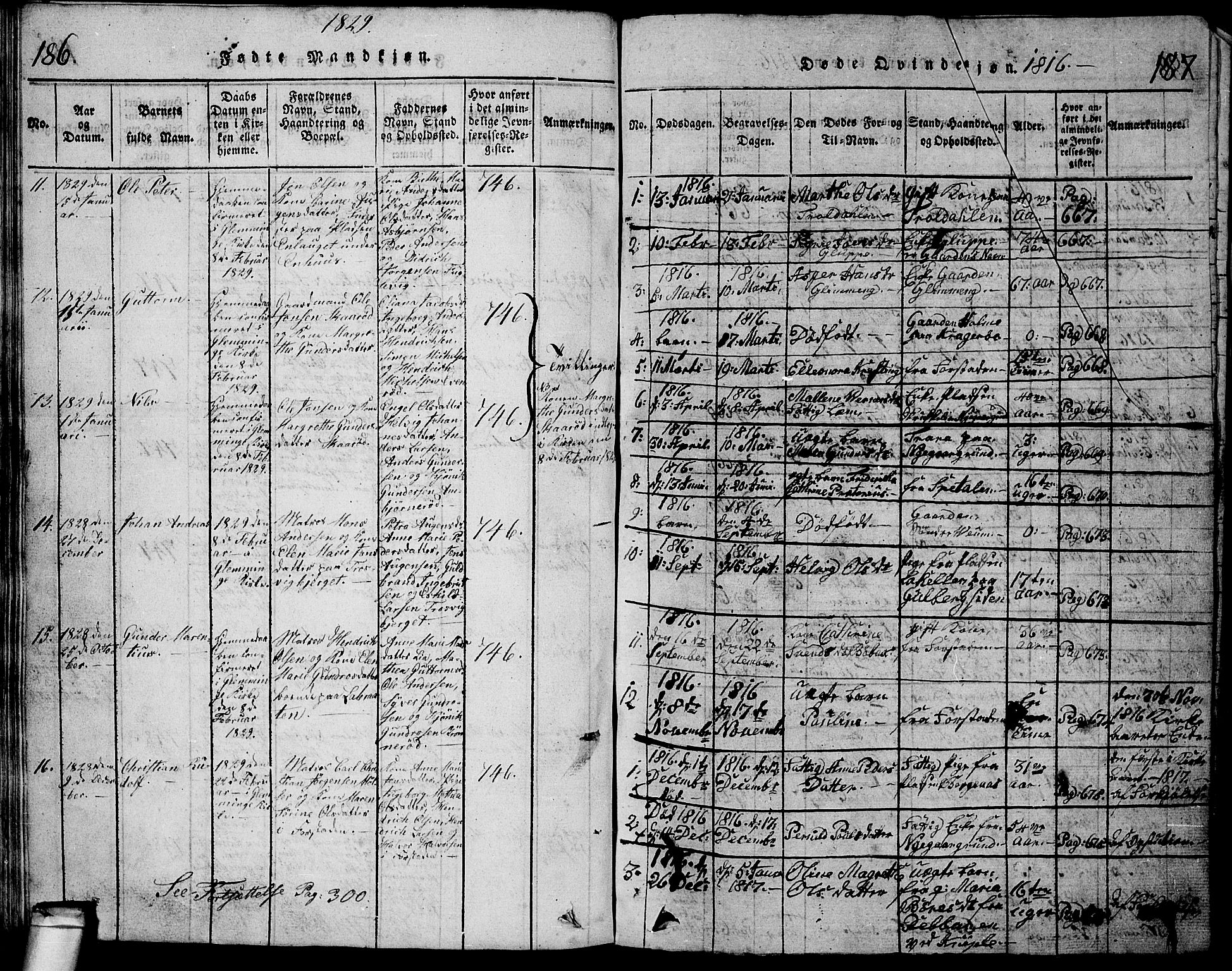 Glemmen prestekontor Kirkebøker, AV/SAO-A-10908/G/Ga/L0001: Parish register (copy) no. 1, 1816-1838, p. 186-187