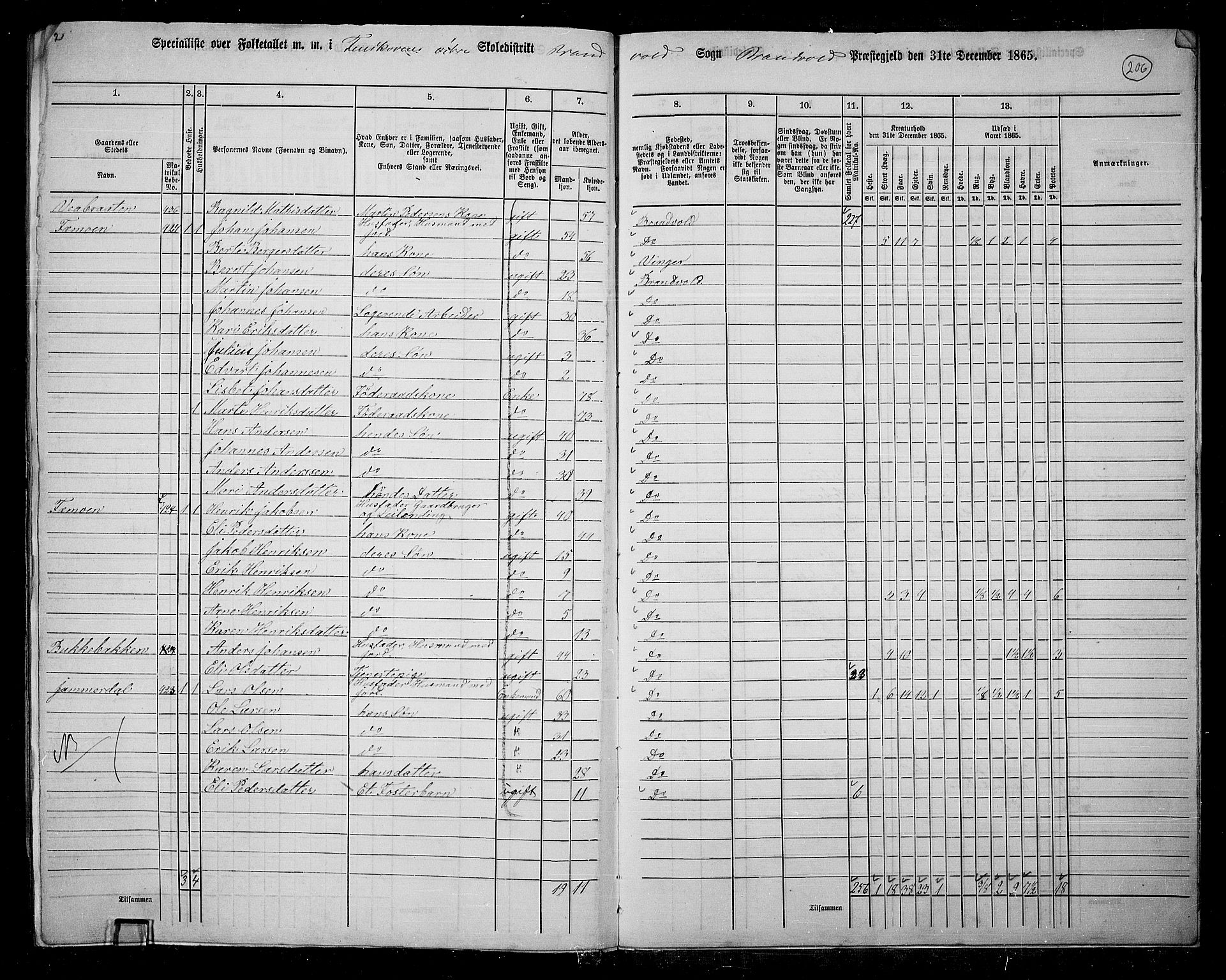 RA, 1865 census for Brandval, 1865, p. 174