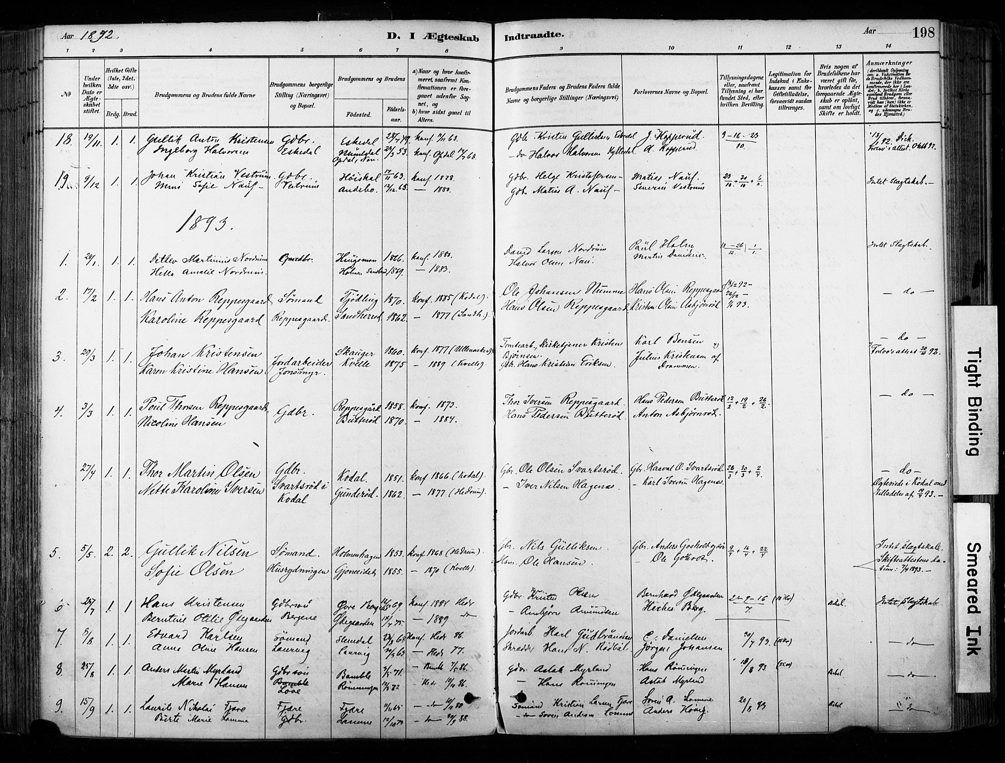 Hedrum kirkebøker, SAKO/A-344/F/Fa/L0009: Parish register (official) no. I 9, 1881-1903, p. 198