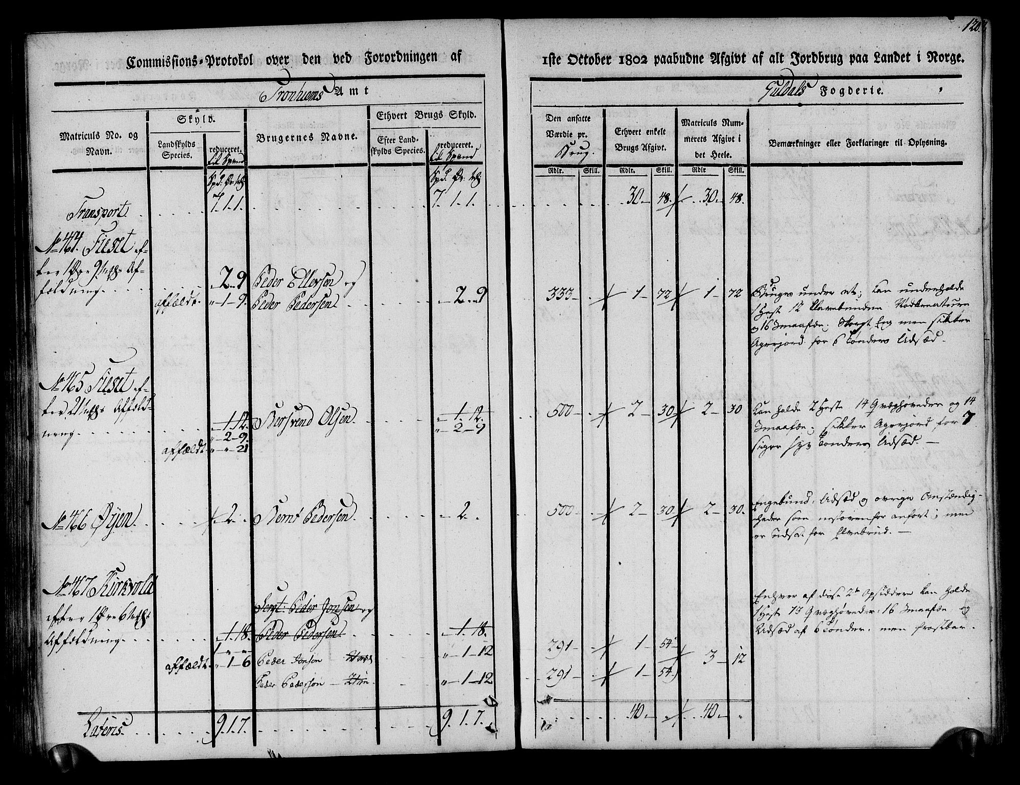 Rentekammeret inntil 1814, Realistisk ordnet avdeling, AV/RA-EA-4070/N/Ne/Nea/L0136a: Orkdal og Gauldal fogderi. Kommisjonsprotokoll for Gauldalen, 1803, p. 121