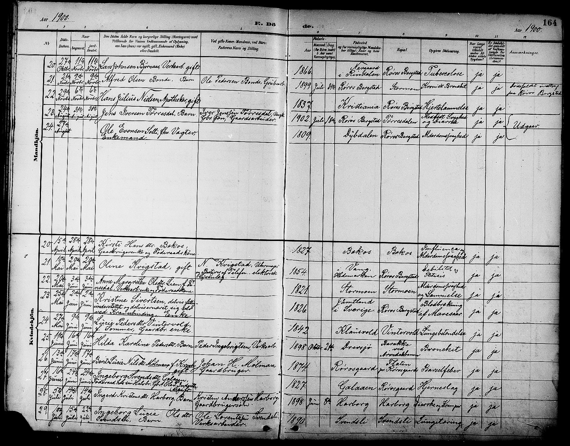 Ministerialprotokoller, klokkerbøker og fødselsregistre - Sør-Trøndelag, AV/SAT-A-1456/681/L0941: Parish register (copy) no. 681C05, 1896-1905, p. 164