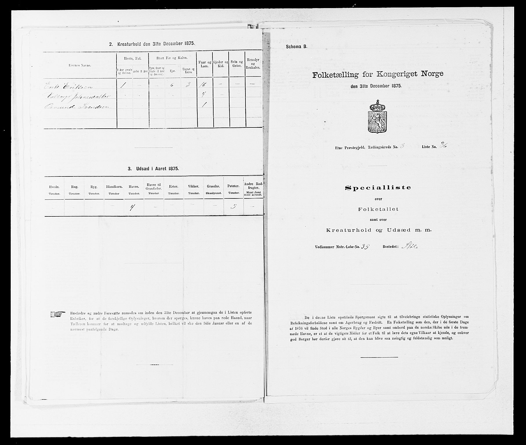 SAB, 1875 census for 1211P Etne, 1875, p. 269