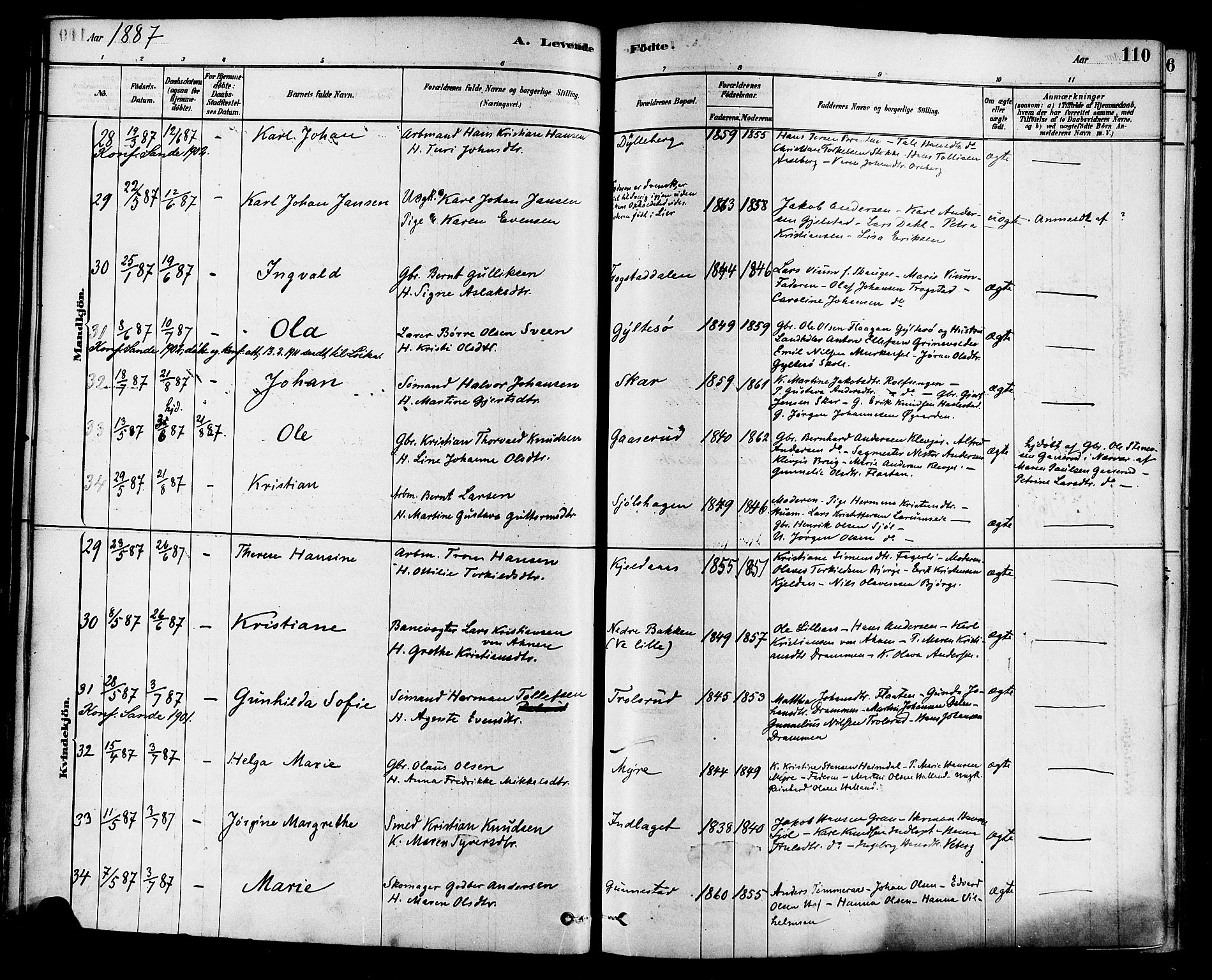 Sande Kirkebøker, AV/SAKO-A-53/F/Fa/L0006: Parish register (official) no. 6, 1878-1888, p. 110