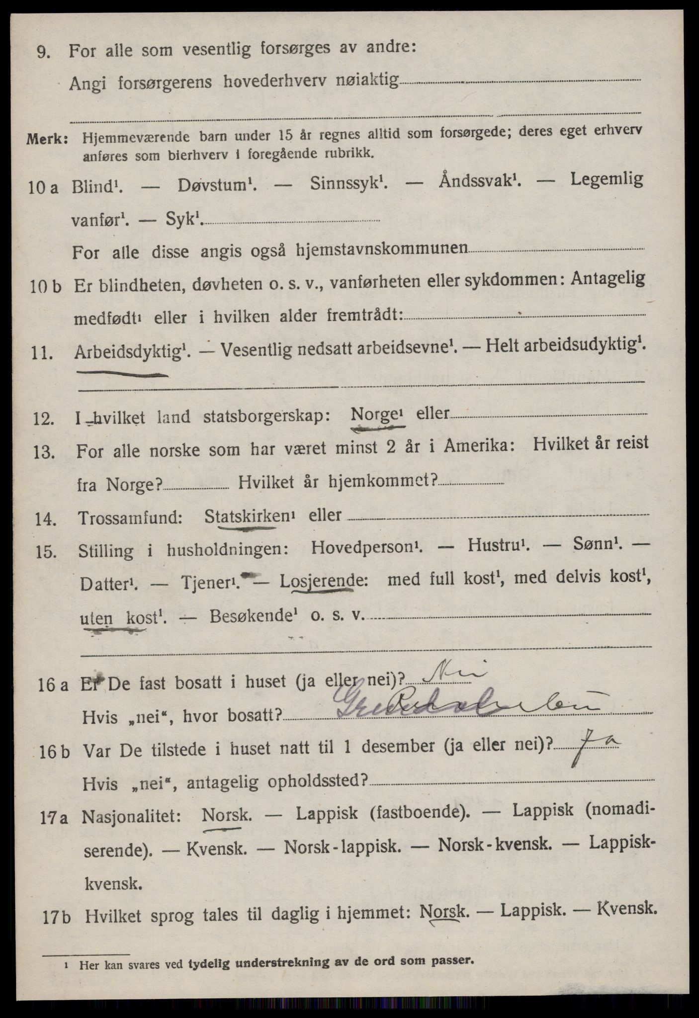 SAT, 1920 census for Rennebu, 1920, p. 3981