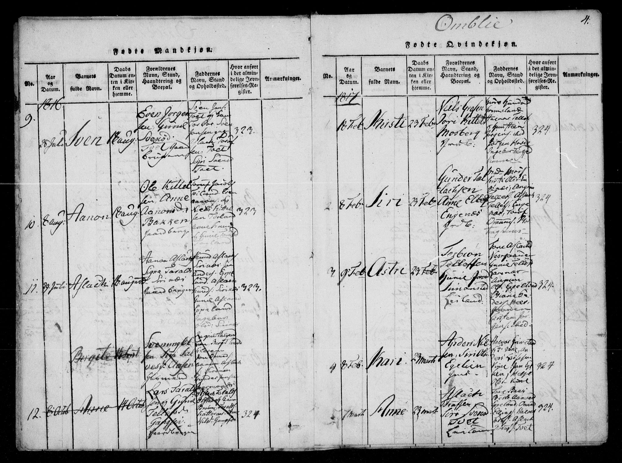 Åmli sokneprestkontor, SAK/1111-0050/F/Fa/Fac/L0006: Parish register (official) no. A 6, 1816-1829, p. 4