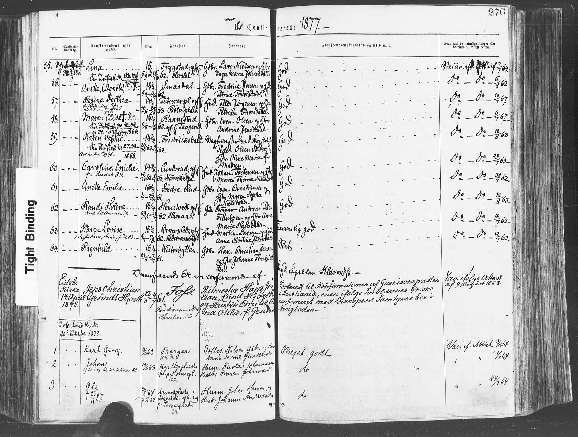 Eidsberg prestekontor Kirkebøker, AV/SAO-A-10905/F/Fa/L0011: Parish register (official) no. I 11, 1867-1878, p. 276