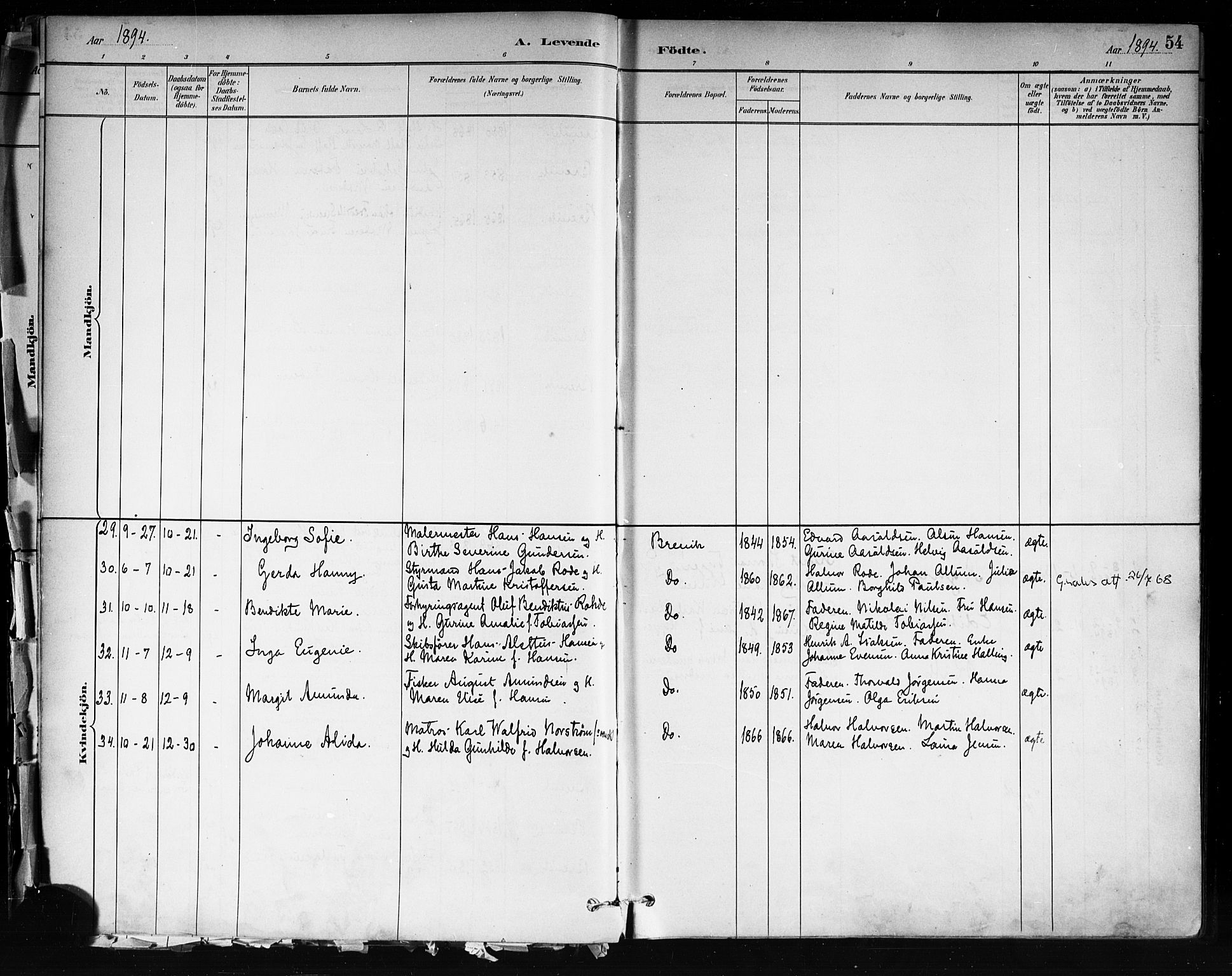 Brevik kirkebøker, AV/SAKO-A-255/F/Fa/L0007: Parish register (official) no. 7, 1882-1900, p. 54