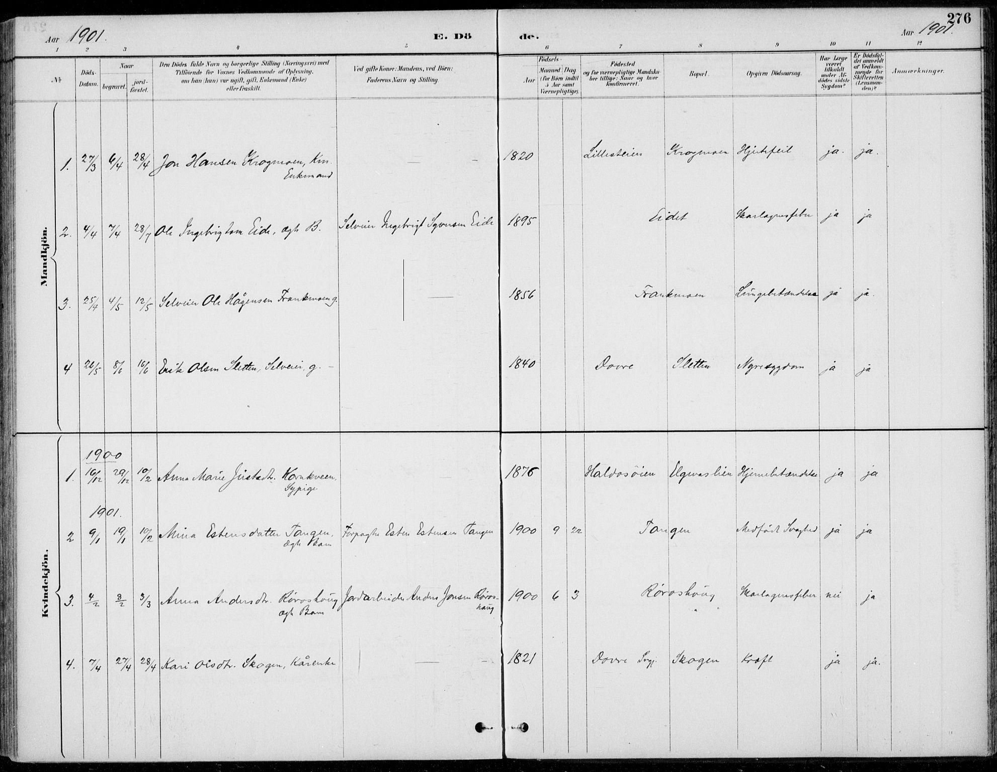Alvdal prestekontor, SAH/PREST-060/H/Ha/Haa/L0003: Parish register (official) no. 3, 1886-1912, p. 276