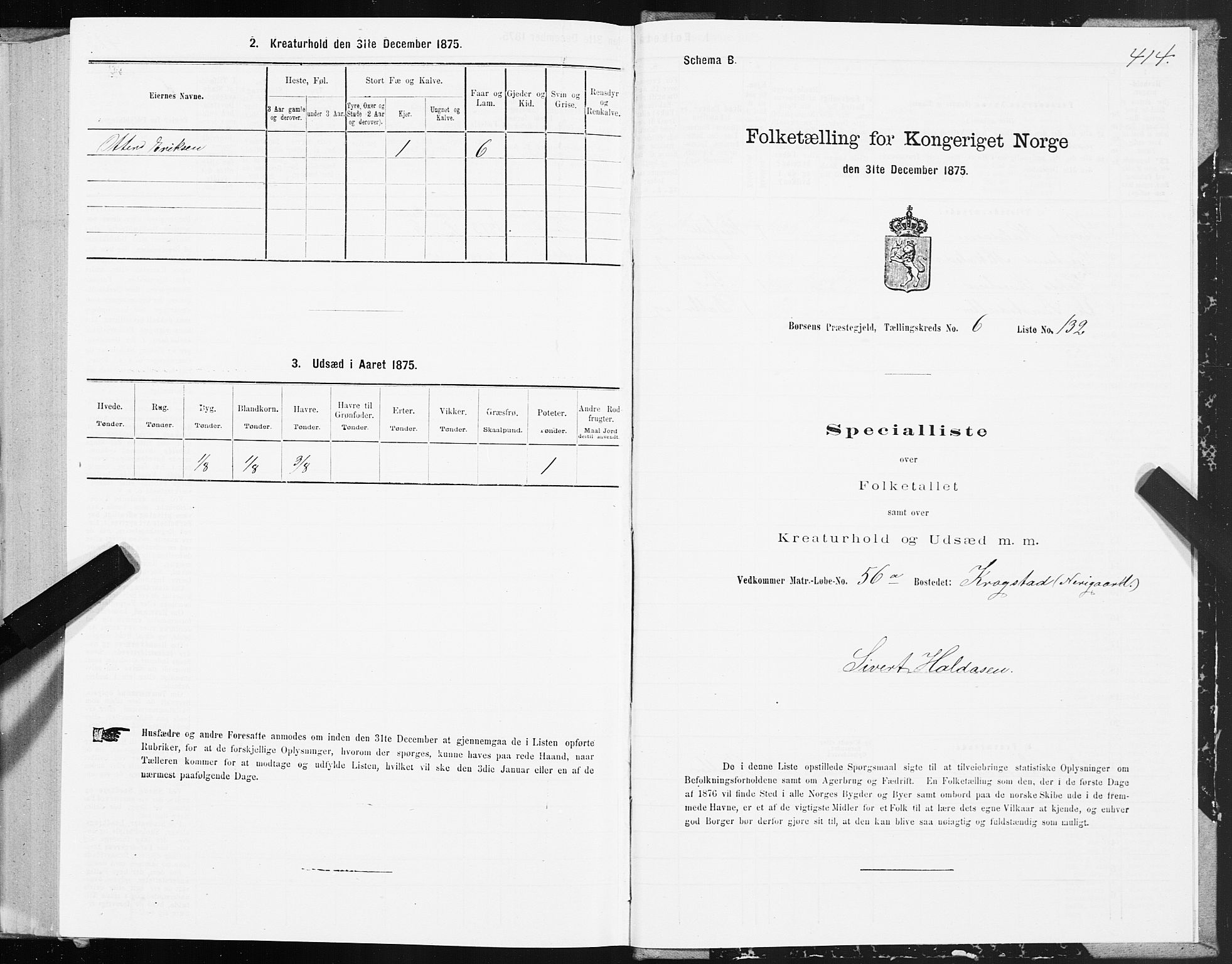 SAT, 1875 census for 1658P Børsa, 1875, p. 4414