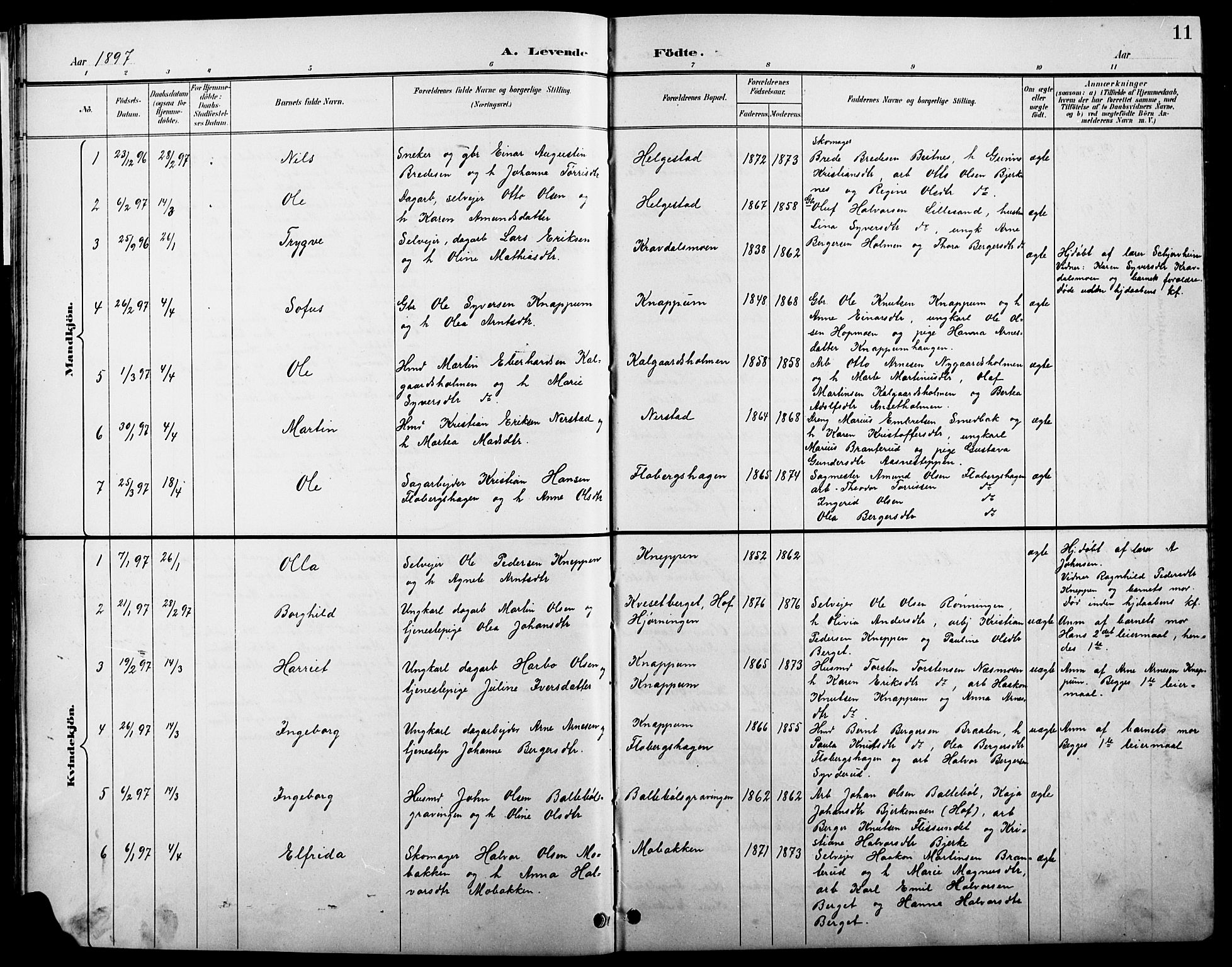 Åsnes prestekontor, SAH/PREST-042/H/Ha/Hab/L0004: Parish register (copy) no. 4, 1895-1909, p. 11