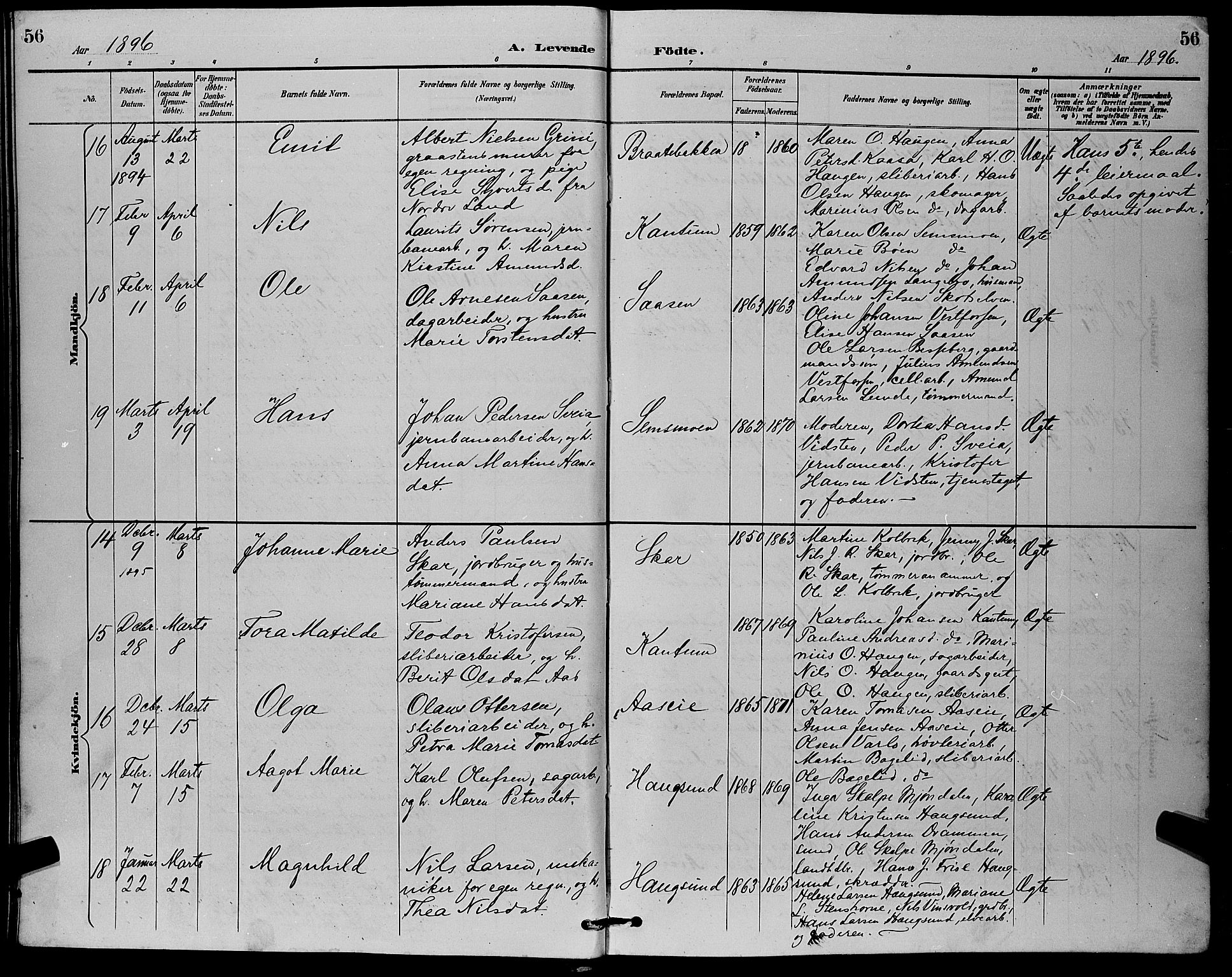 Eiker kirkebøker, AV/SAKO-A-4/G/Ga/L0007: Parish register (copy) no. I 7, 1893-1902, p. 56