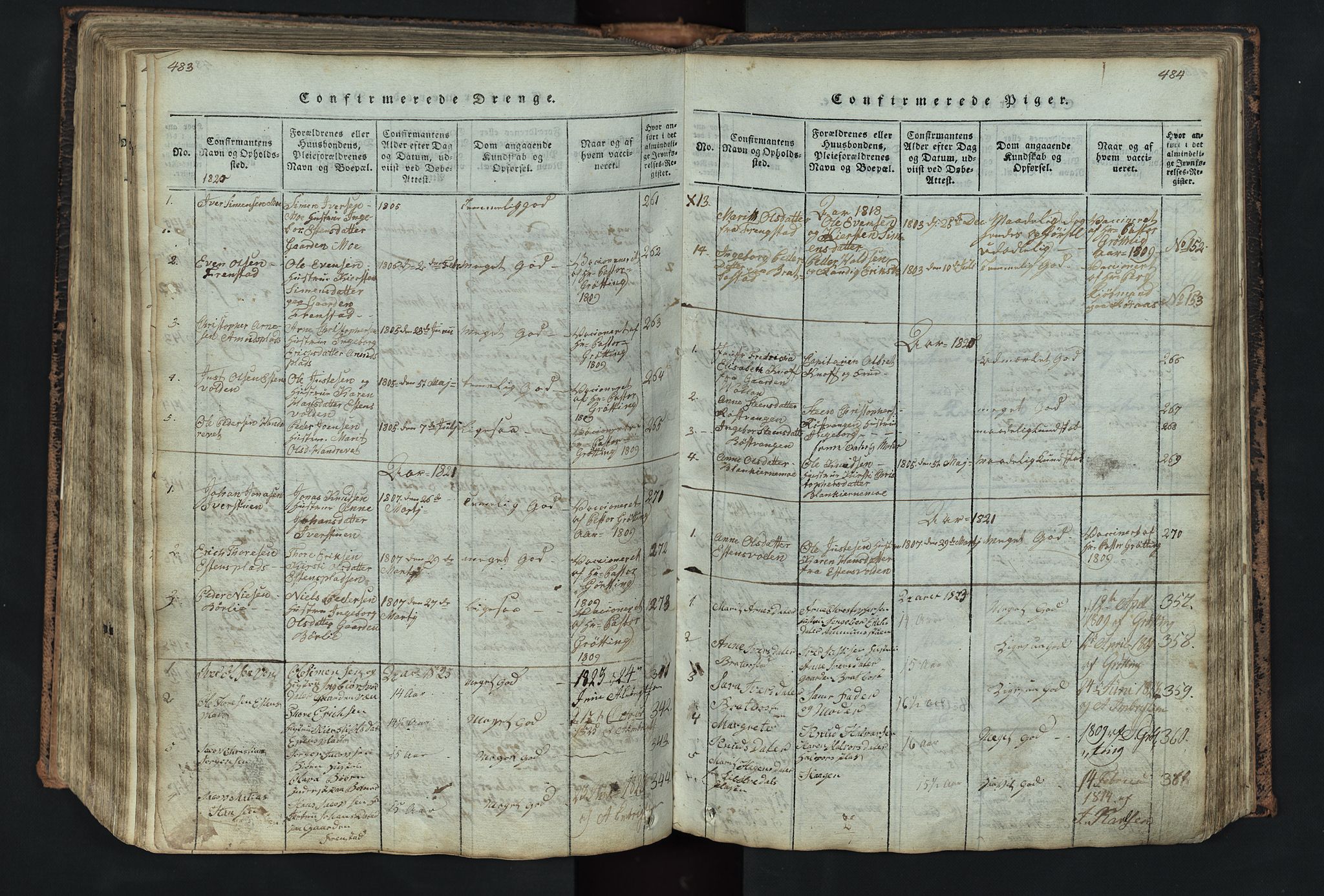 Kvikne prestekontor, SAH/PREST-064/H/Ha/Hab/L0001: Parish register (copy) no. 1, 1815-1895, p. 483-484