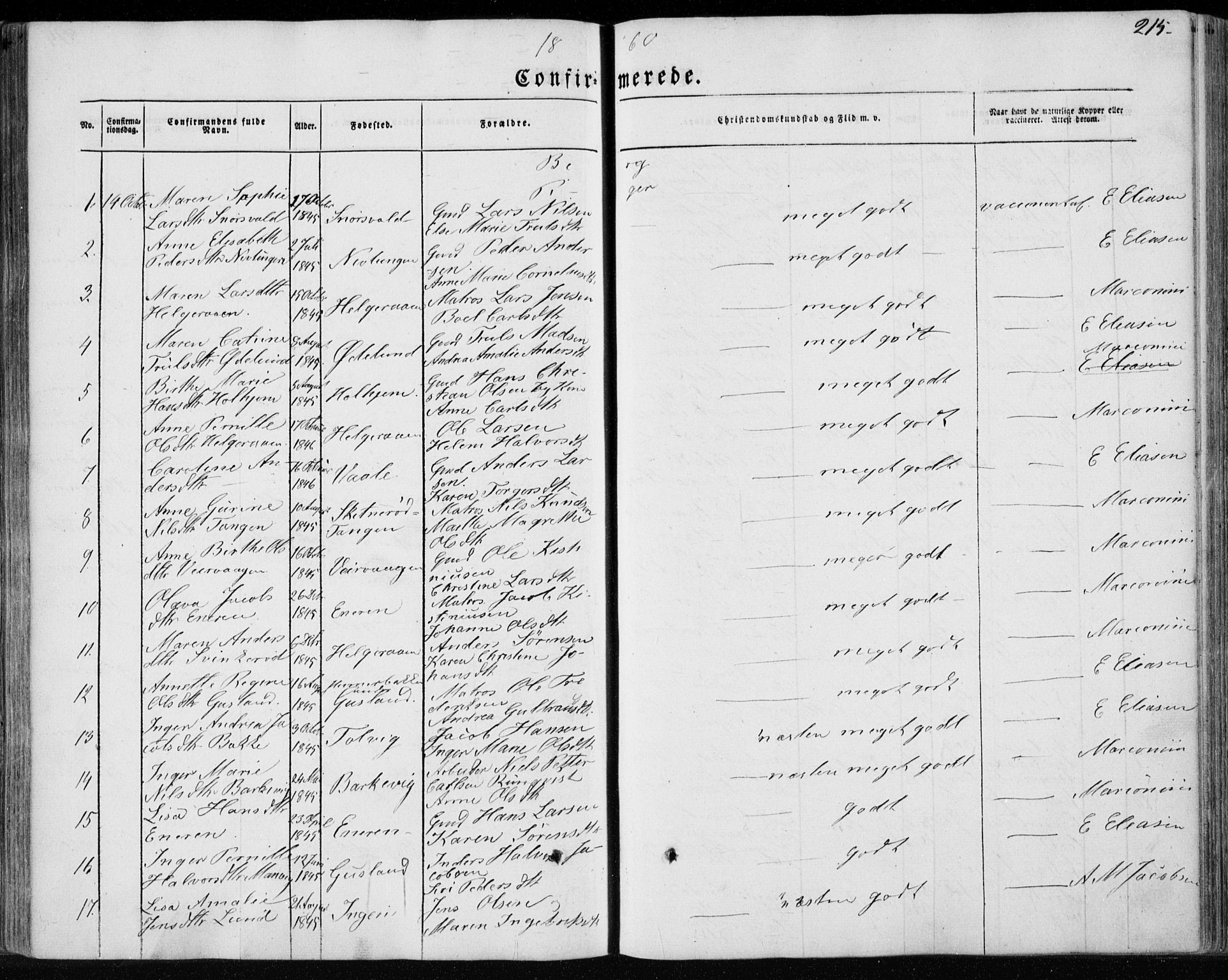 Brunlanes kirkebøker, AV/SAKO-A-342/F/Fa/L0004: Parish register (official) no. I 4, 1846-1862, p. 215